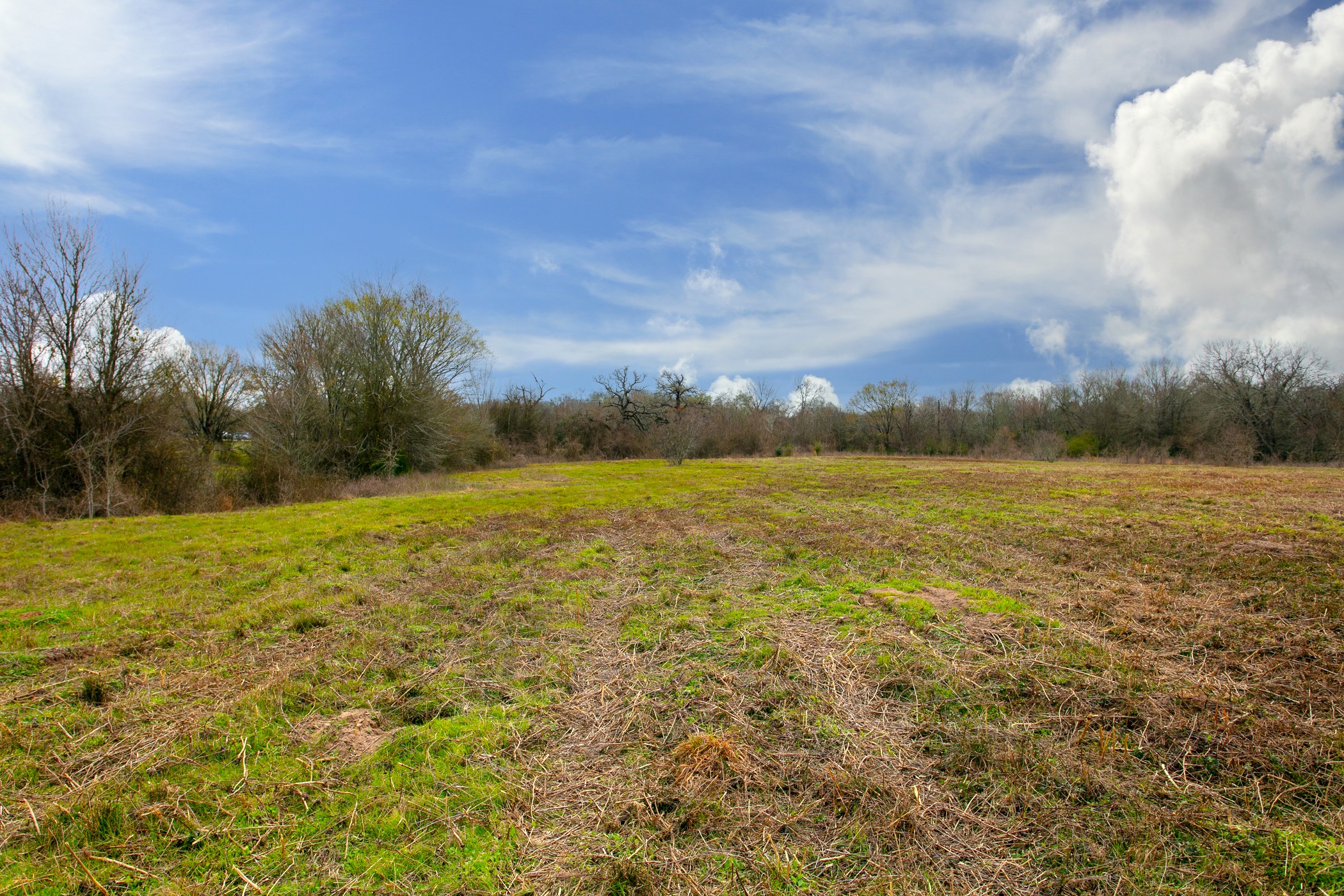 Tbd Elmo Weedon Road Property Photo 9