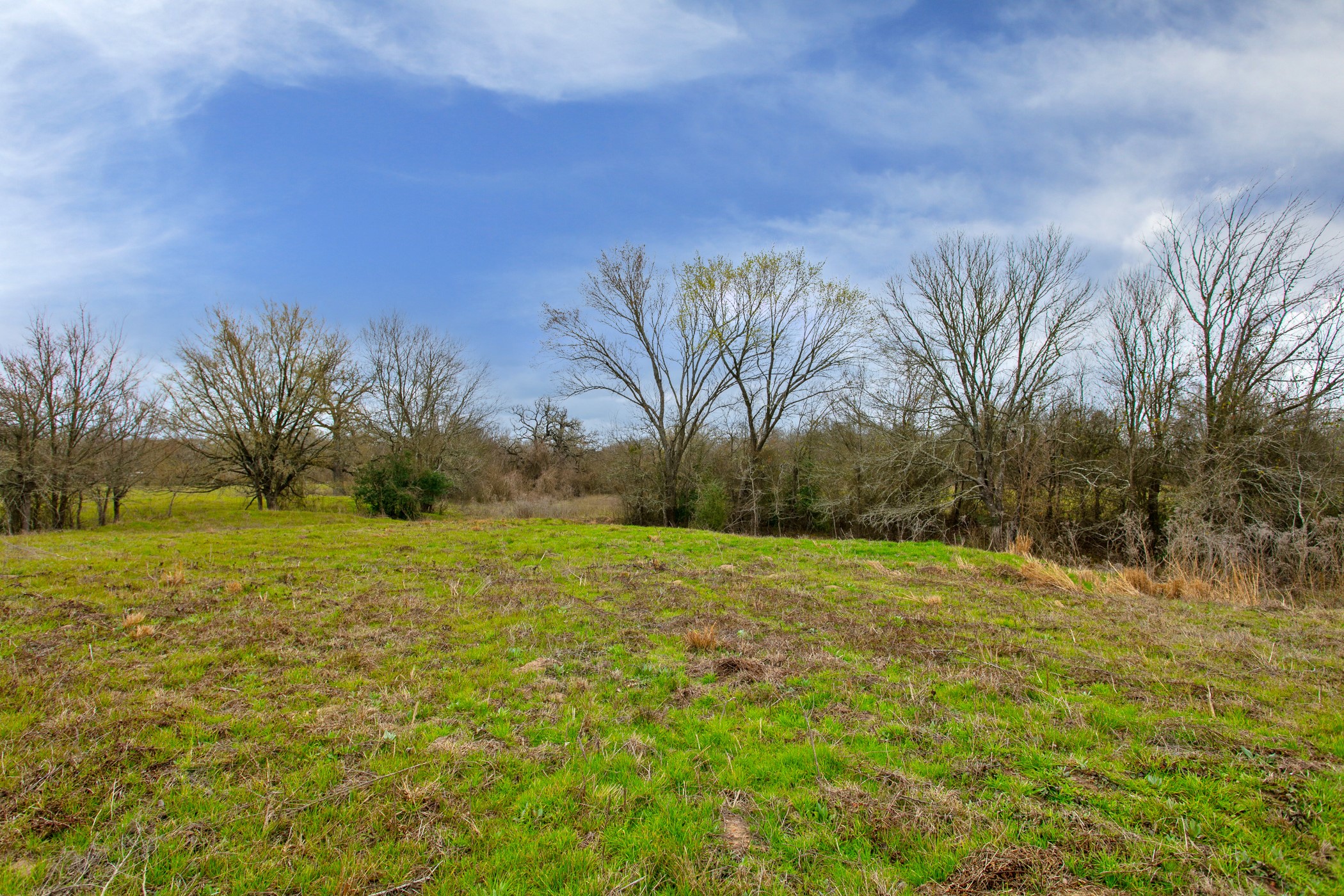 Tbd Elmo Weedon Road Property Photo 10
