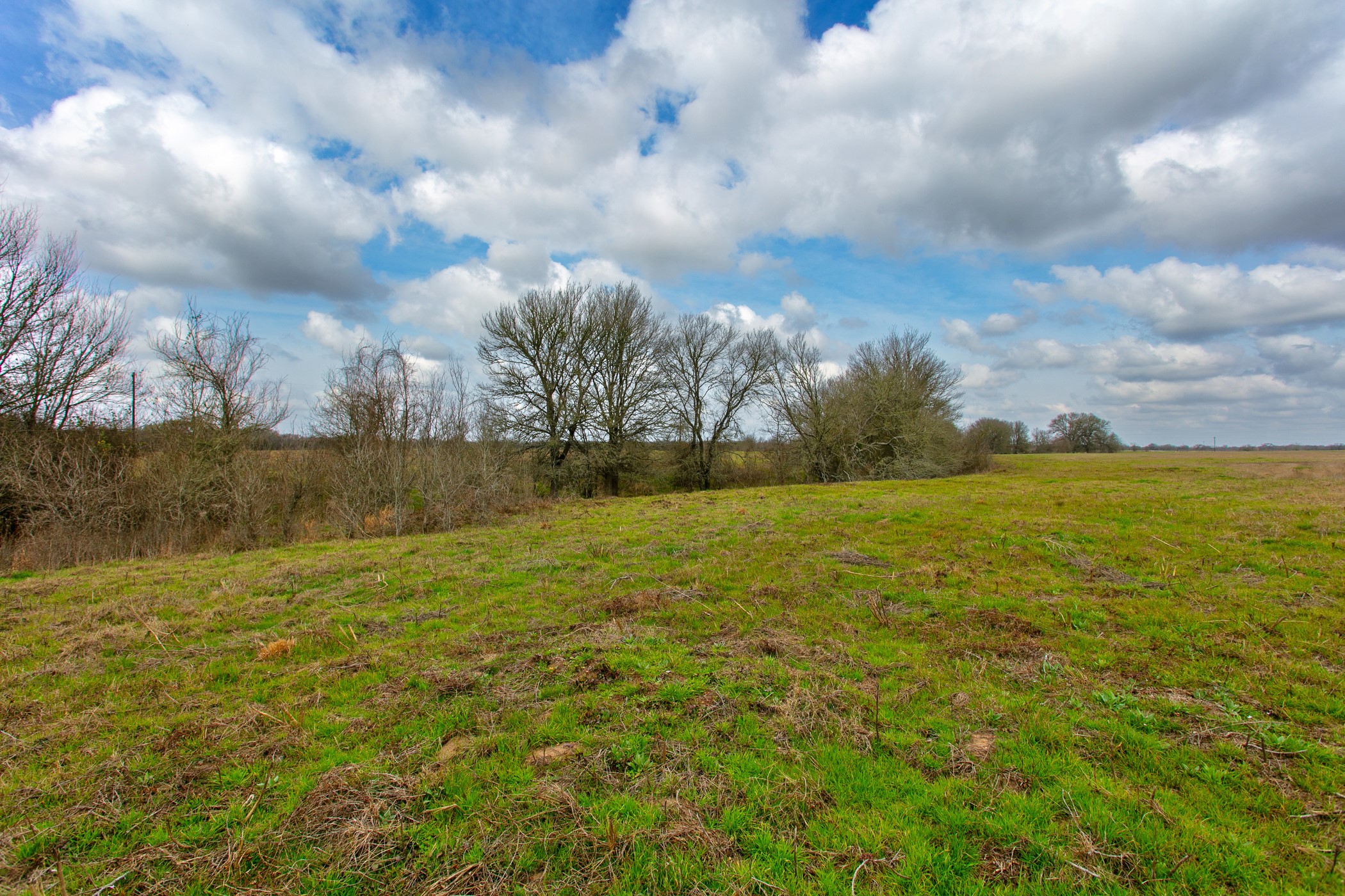 Tbd Elmo Weedon Road Property Photo 11