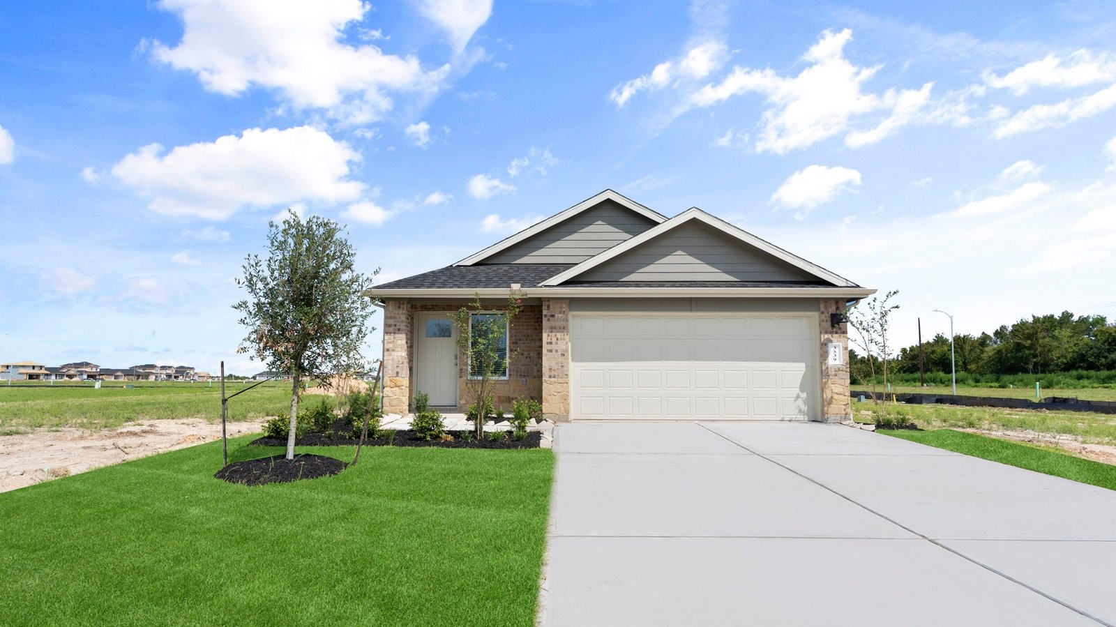 3505 Wild Mustang Street Property Photo 1