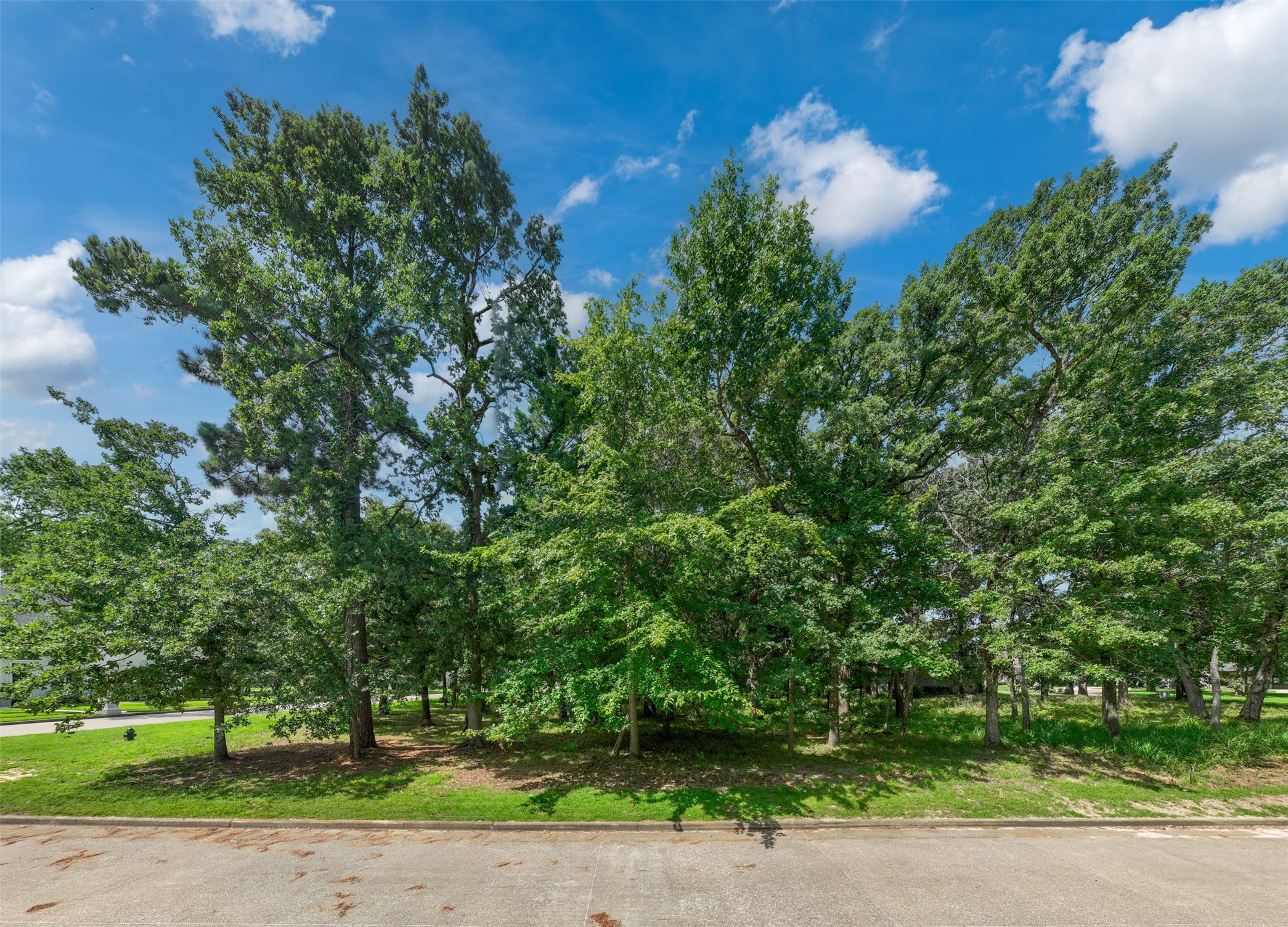 160 Eagles Bluff Boulevard S Property Photo 12