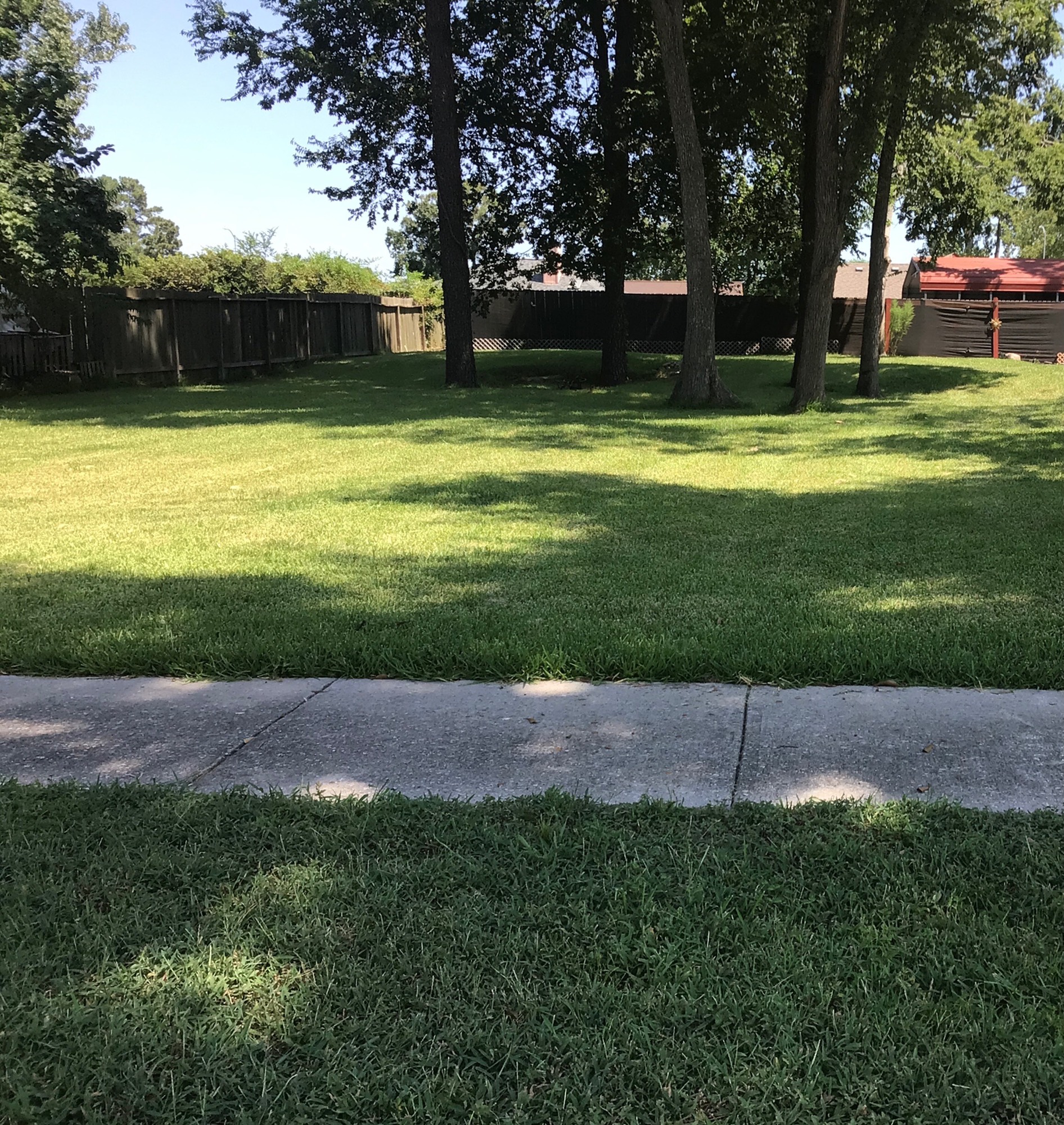 6723 Sandy Oaks Drive Property Photo 1