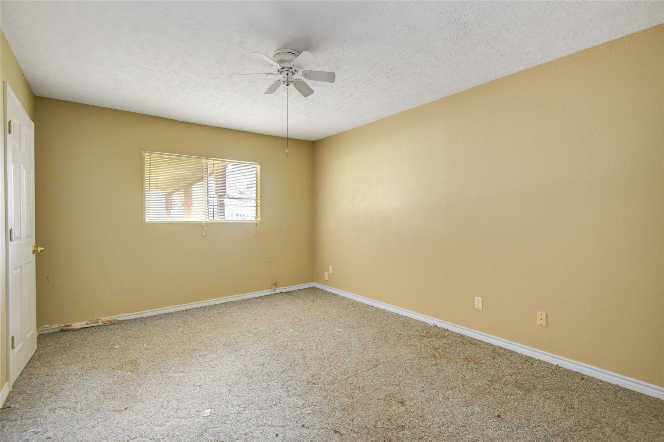 215 Cypress Street Property Photo 13