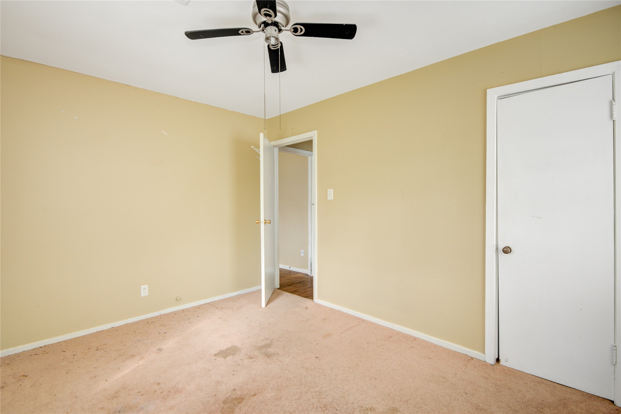 215 Cypress Street Property Photo 17