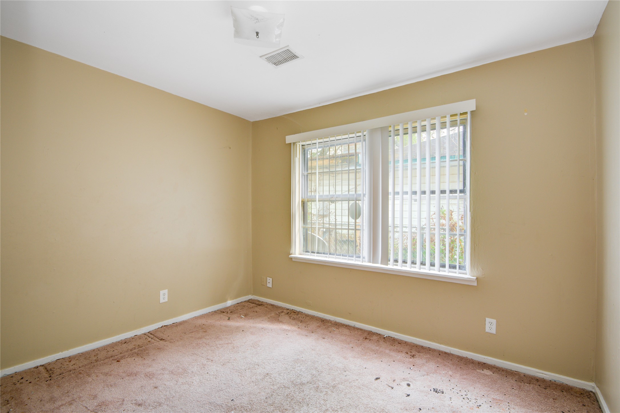 215 Cypress Street Property Photo 18