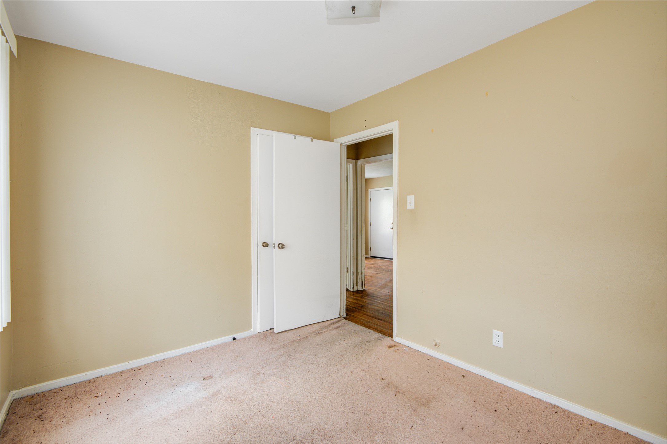215 Cypress Street Property Photo 19