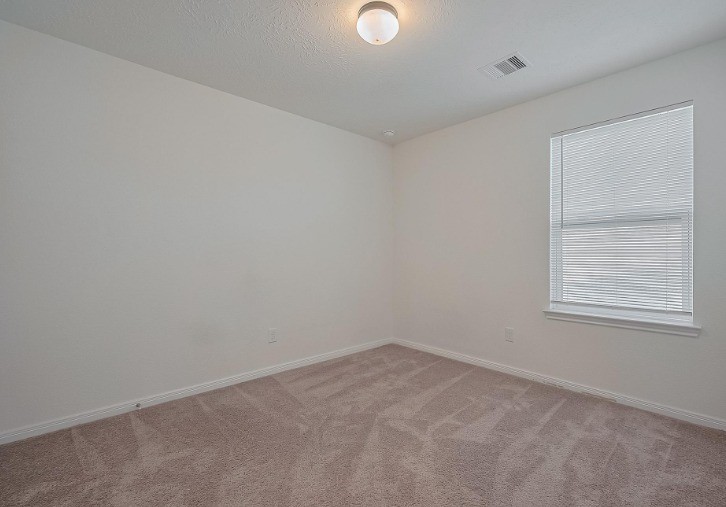 5815 Texas Sage Drive Property Photo 29