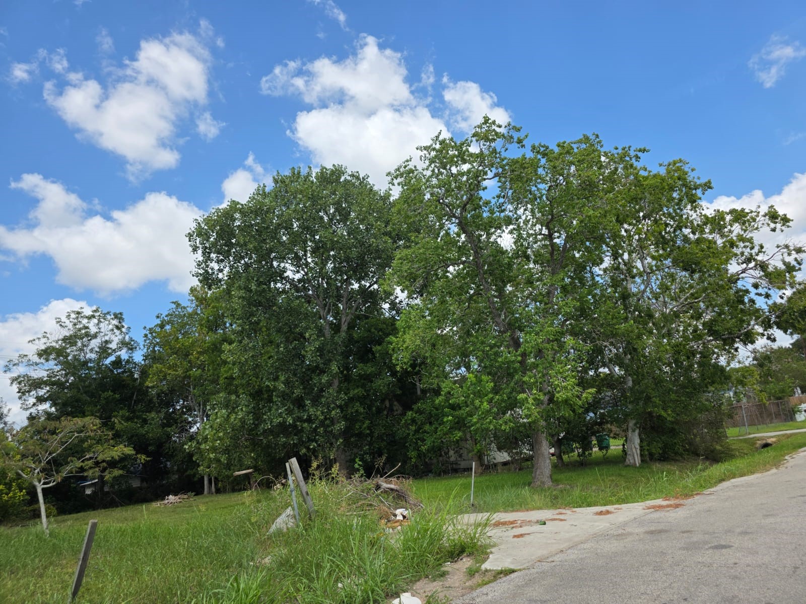 8914 Brandon Street Property Photo 2