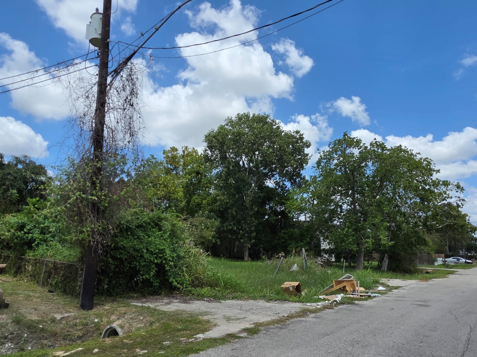 8914 Brandon Street Property Photo 5