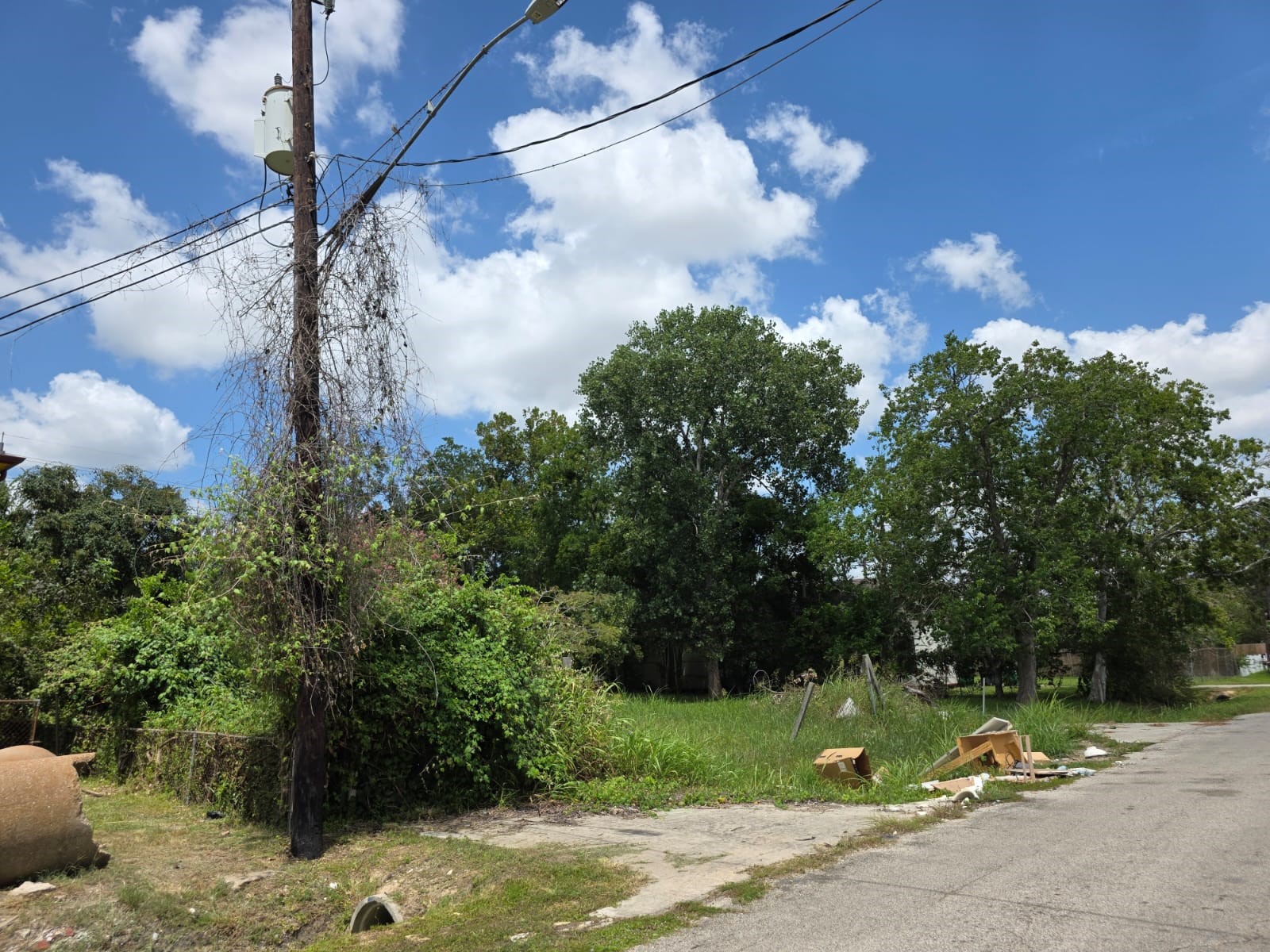 8914 Brandon Street Property Photo 7