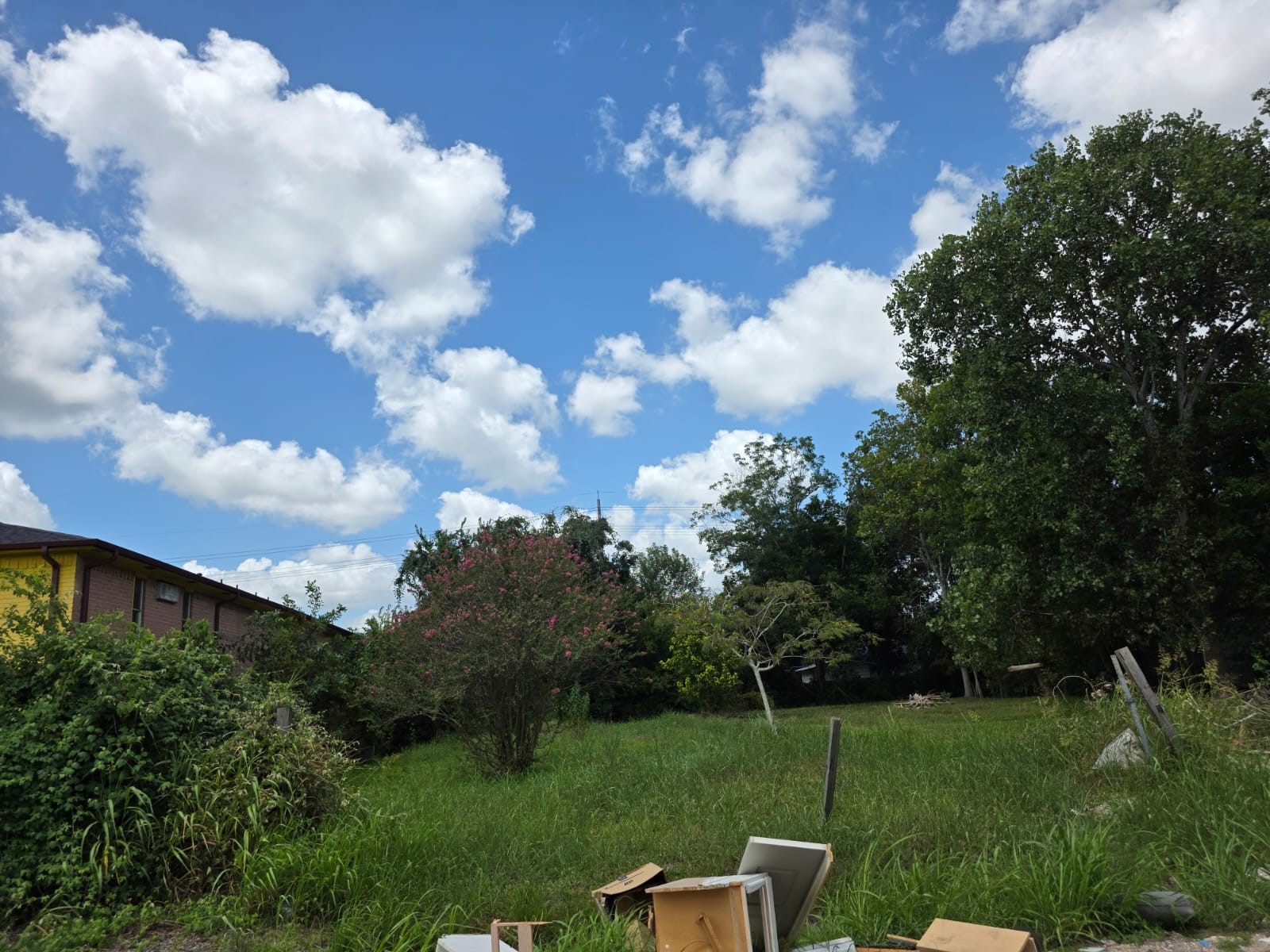 8914 Brandon Street Property Photo 12