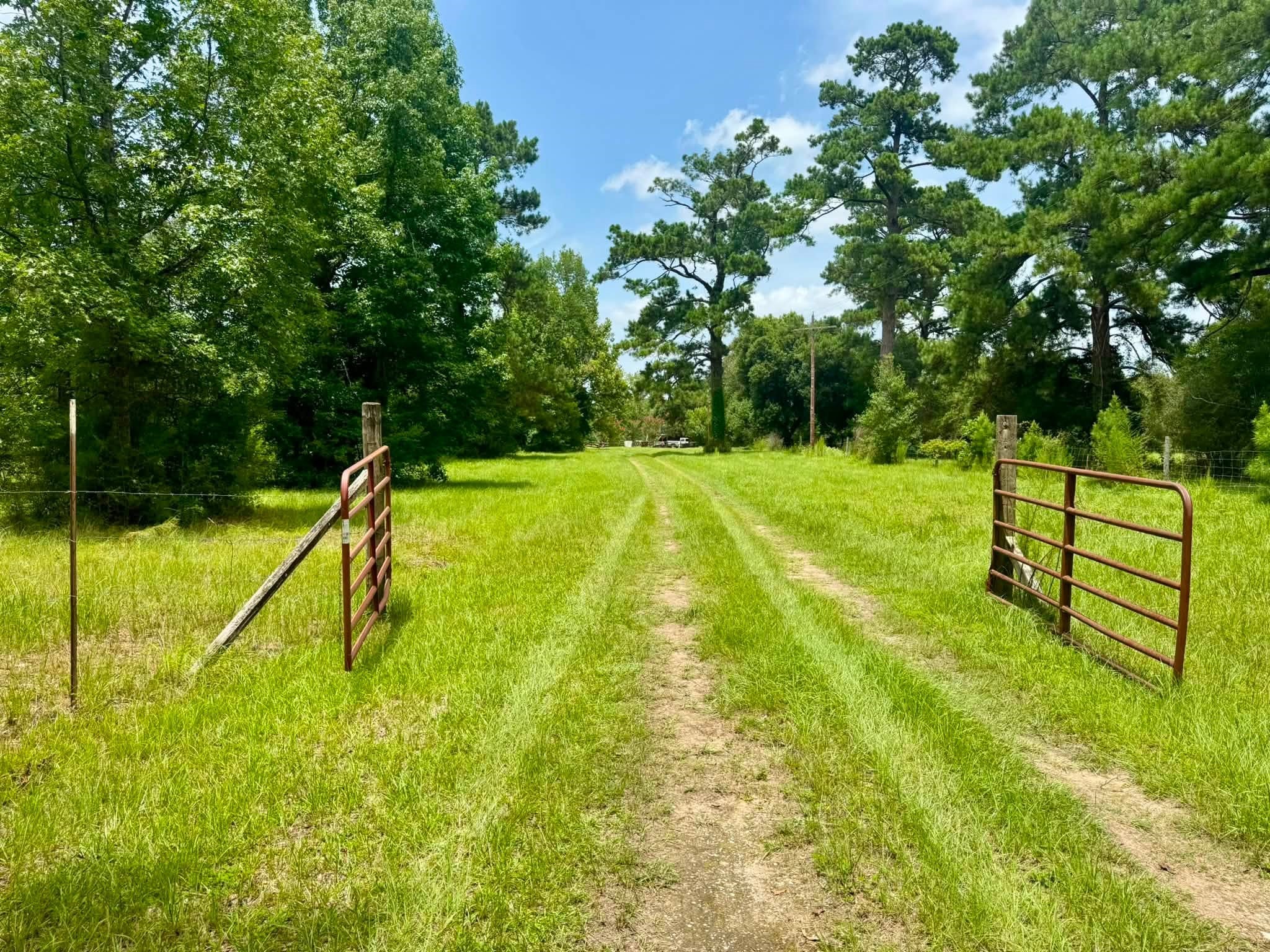 3882 Co Rd 4875 Property Photo 5