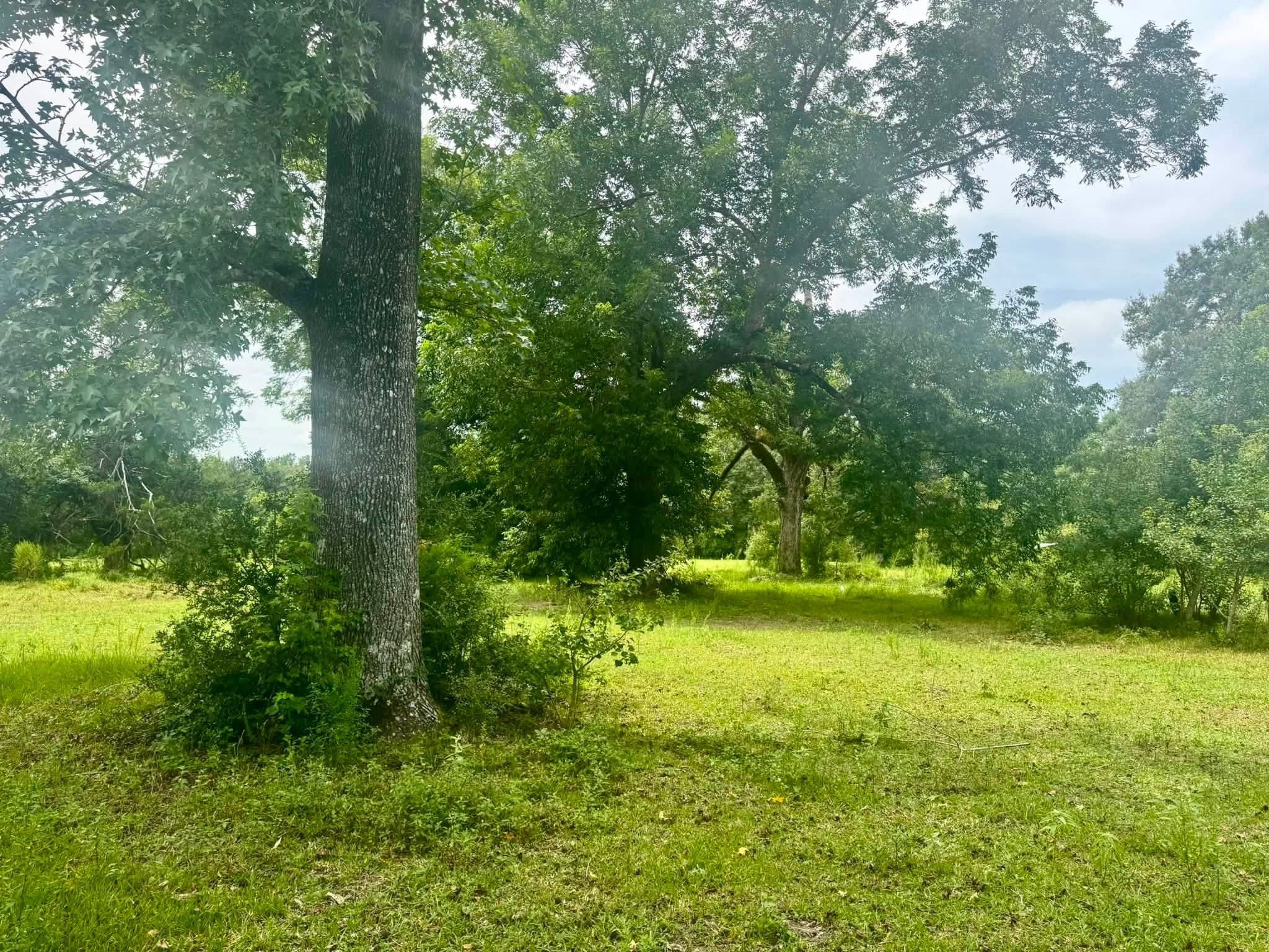 3882 Co Rd 4875 Property Photo 7