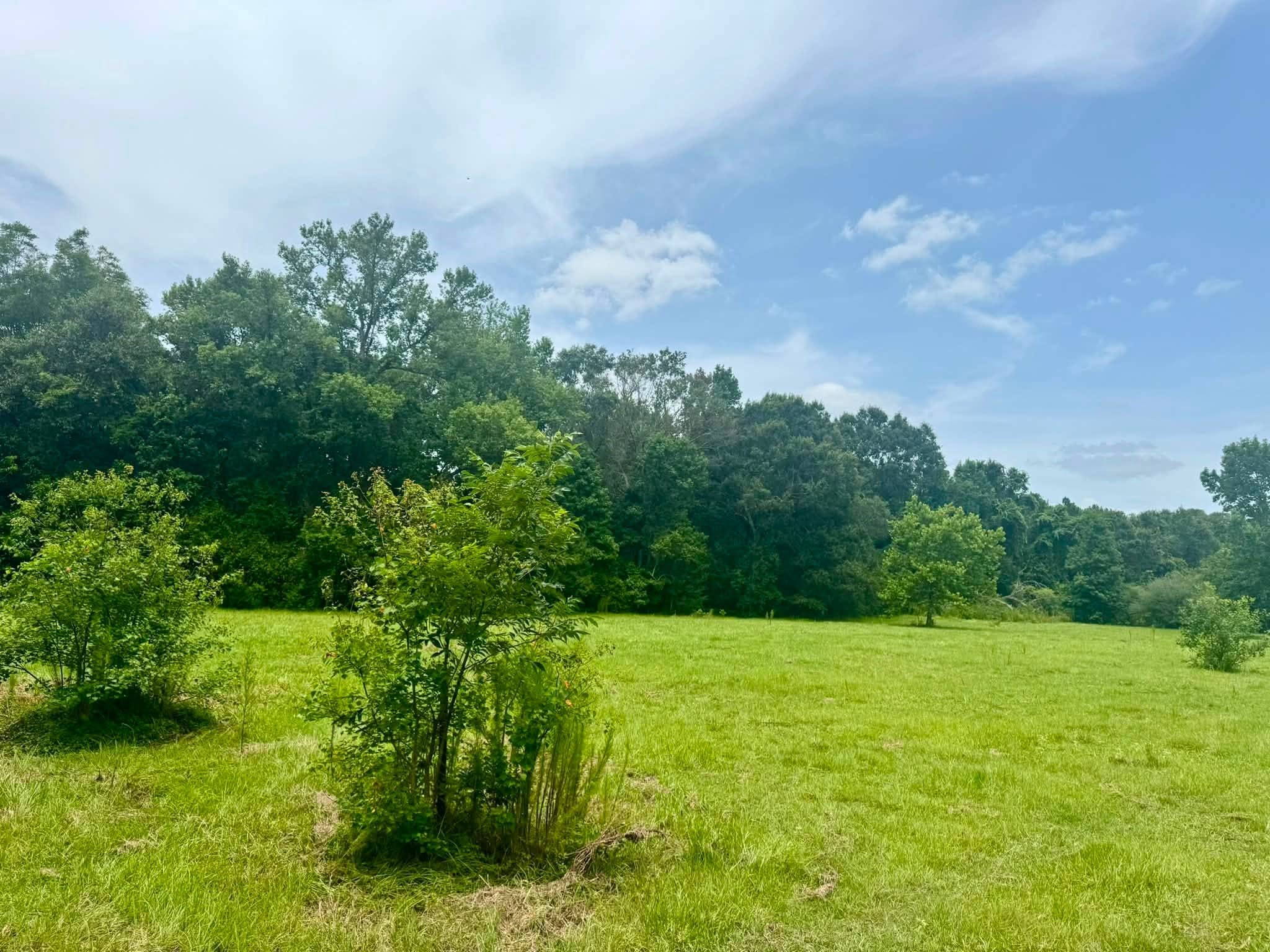 3882 Co Rd 4875 Property Photo 8