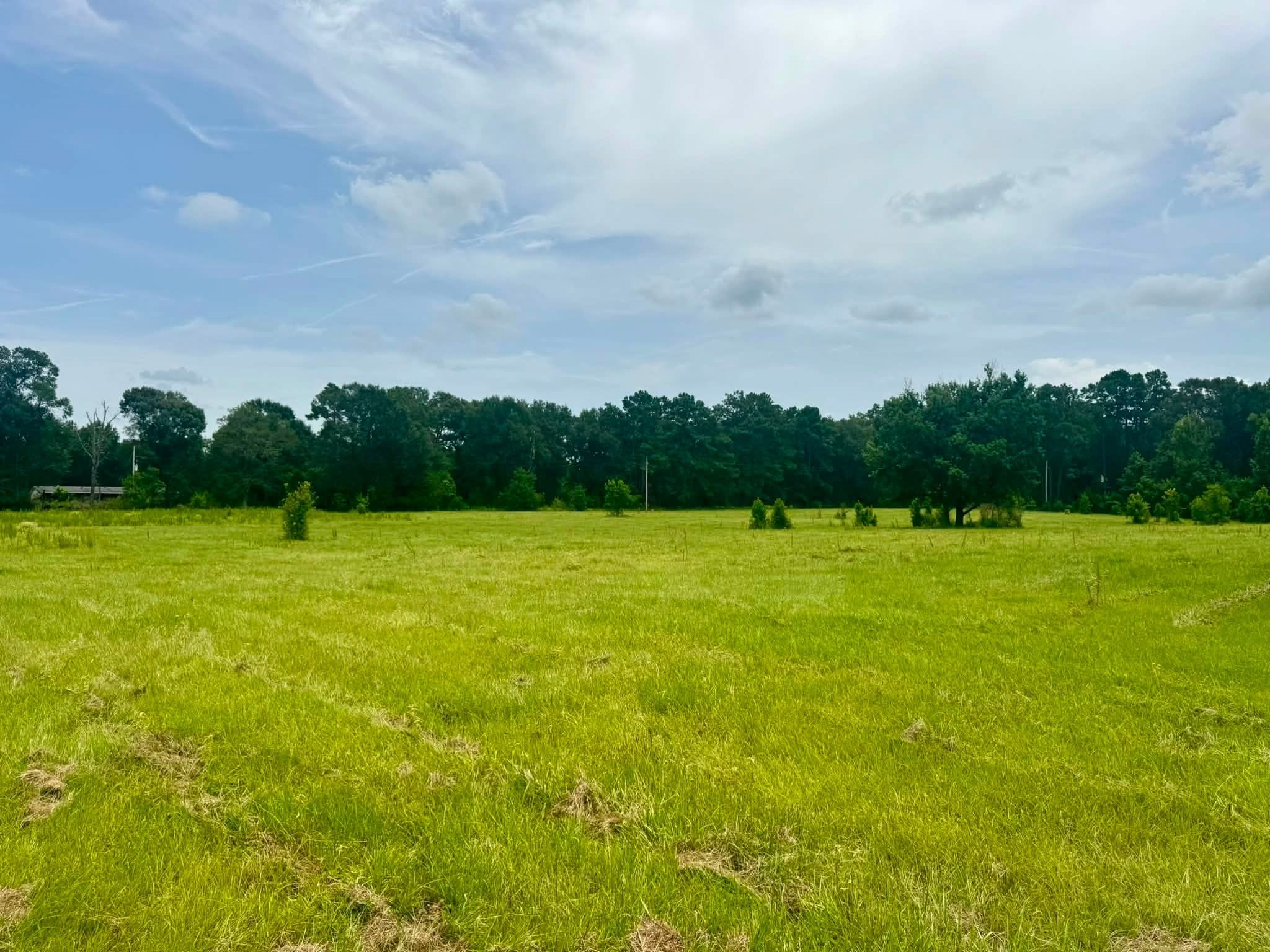 3882 Co Rd 4875 Property Photo 10