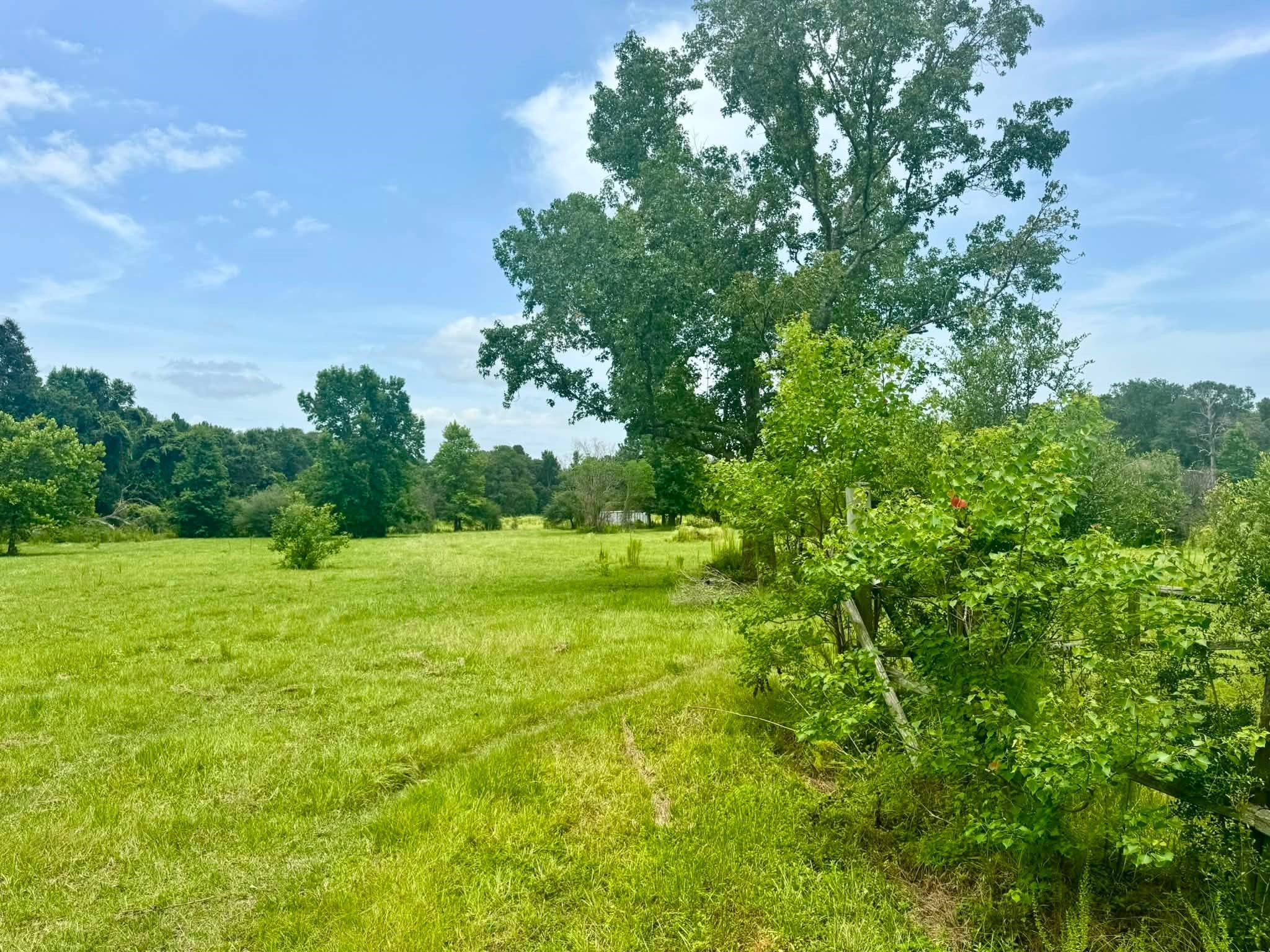 3882 Co Rd 4875 Property Photo 11