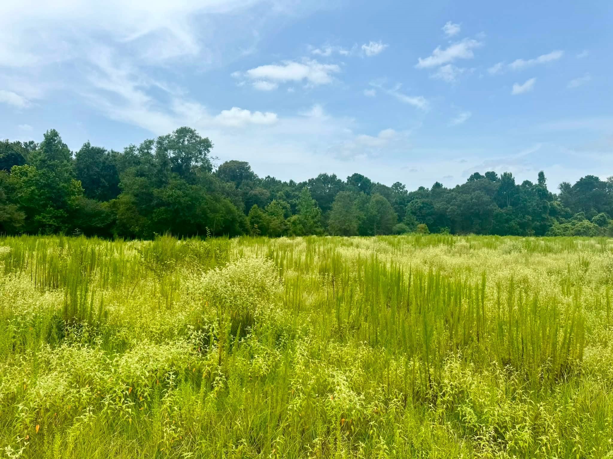 3882 Co Rd 4875 Property Photo 14