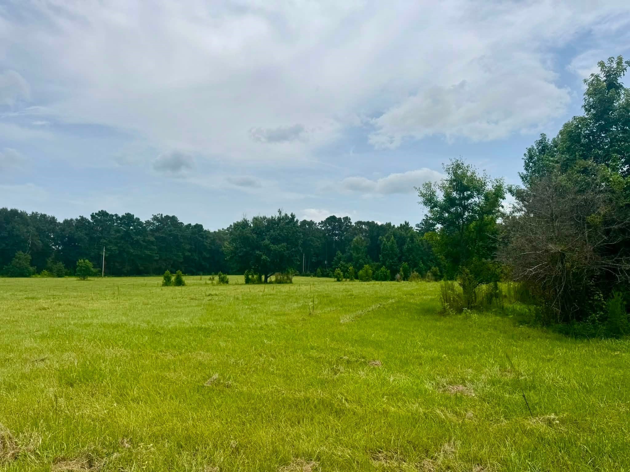 3882 Co Rd 4875 Property Photo 15