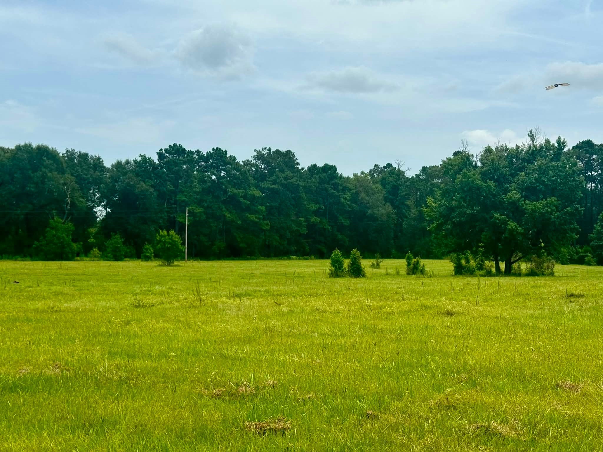 3882 Co Rd 4875 Property Photo 17