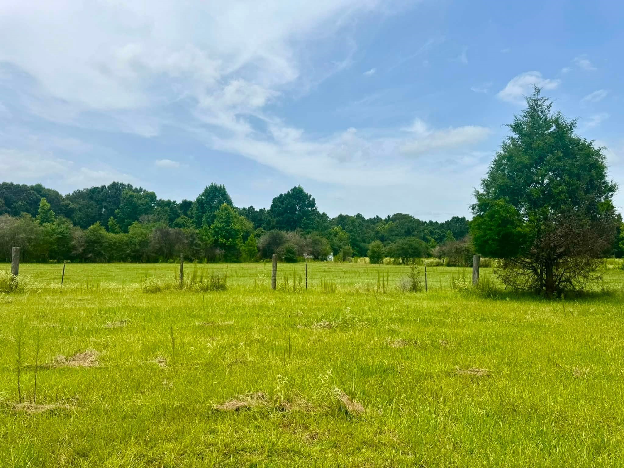 3882 Co Rd 4875 Property Photo 18