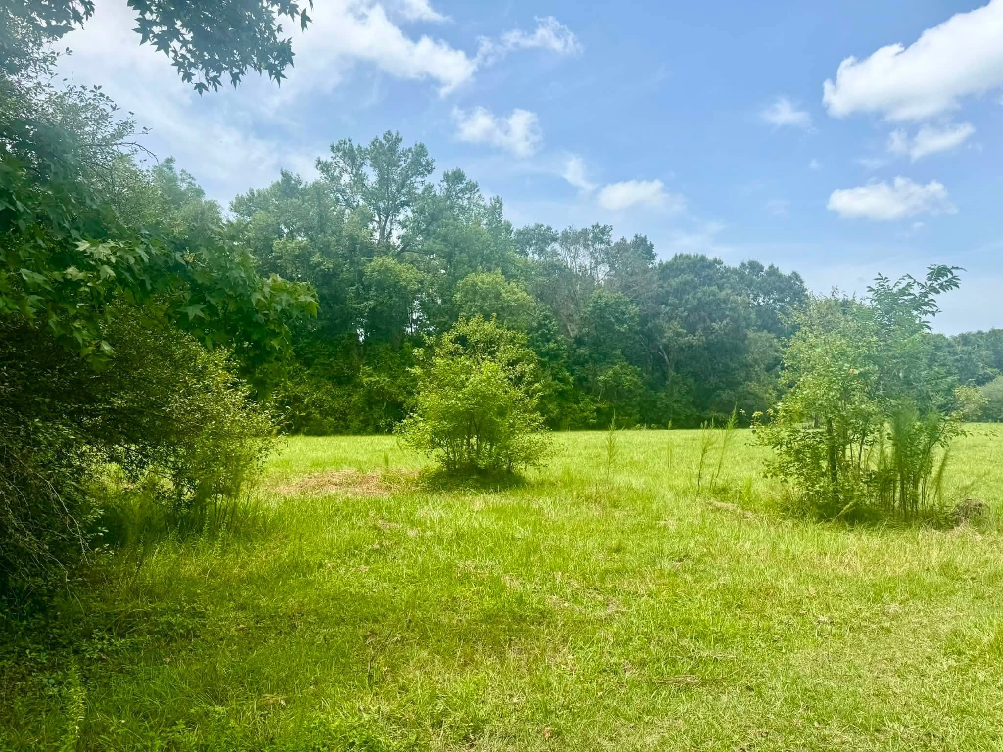 3882 Co Rd 4875 Property Photo 20