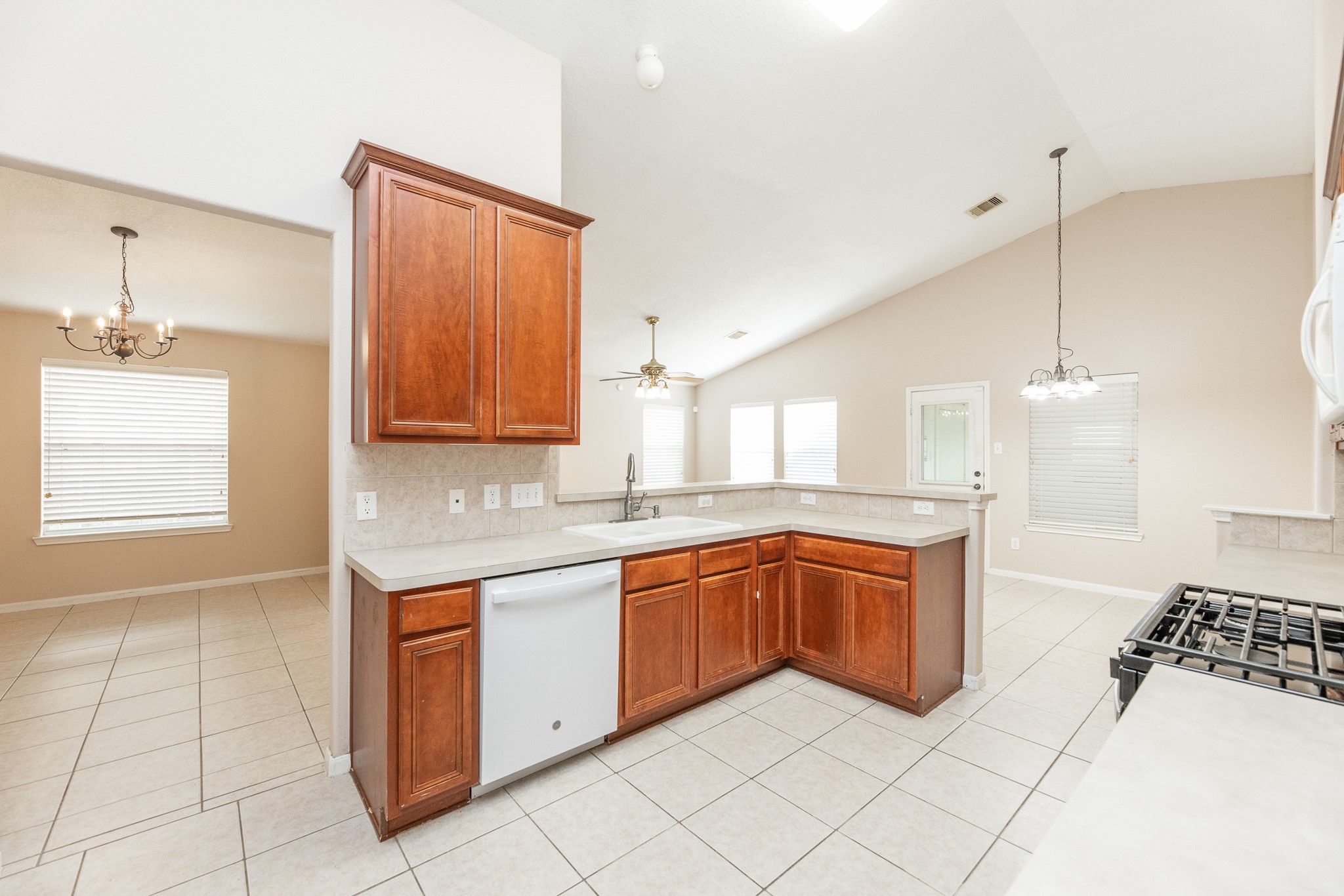 25219 Spring Iris Lane Property Photo 16