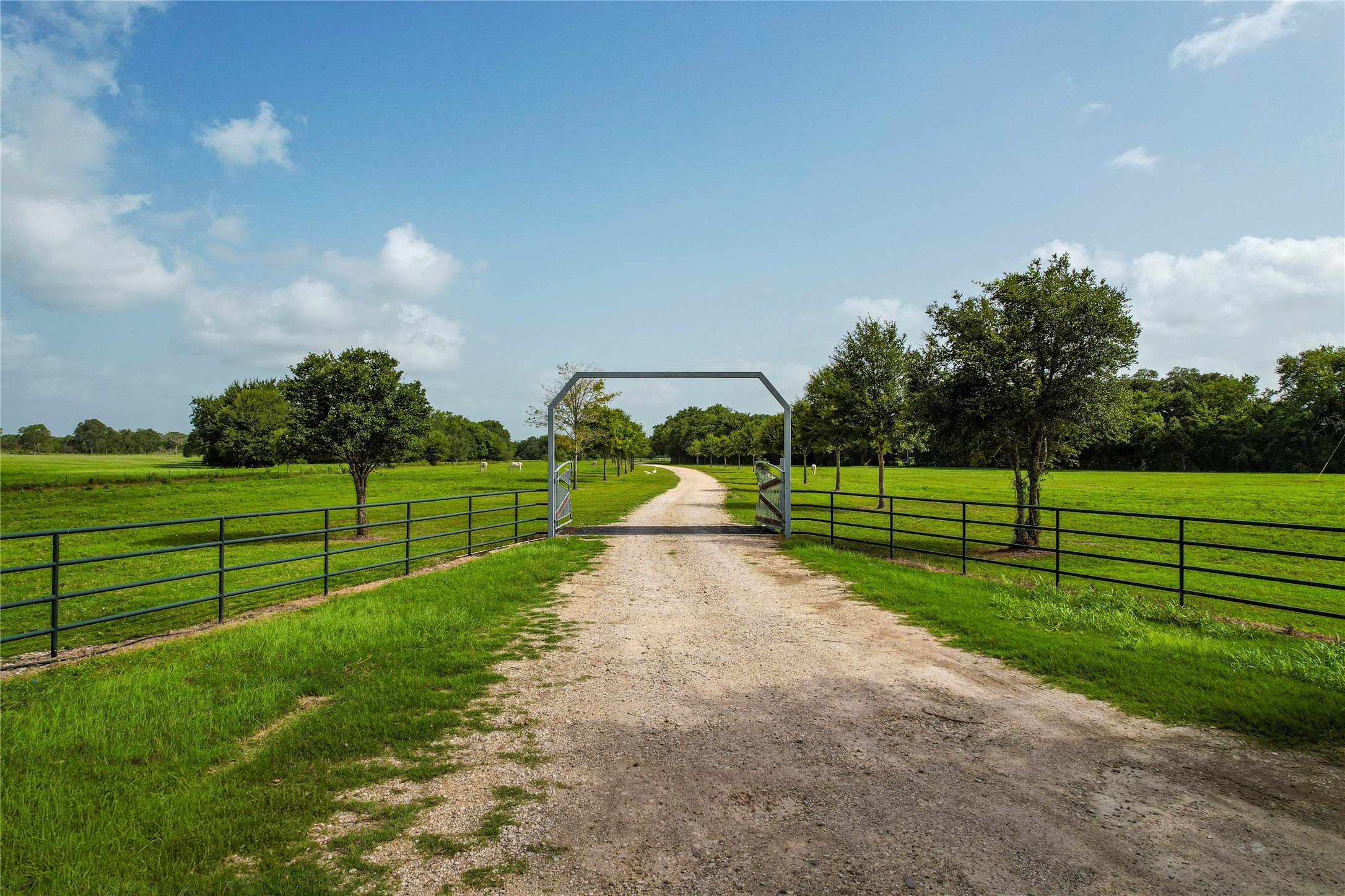 1331 E Parker Road Property Photo 2