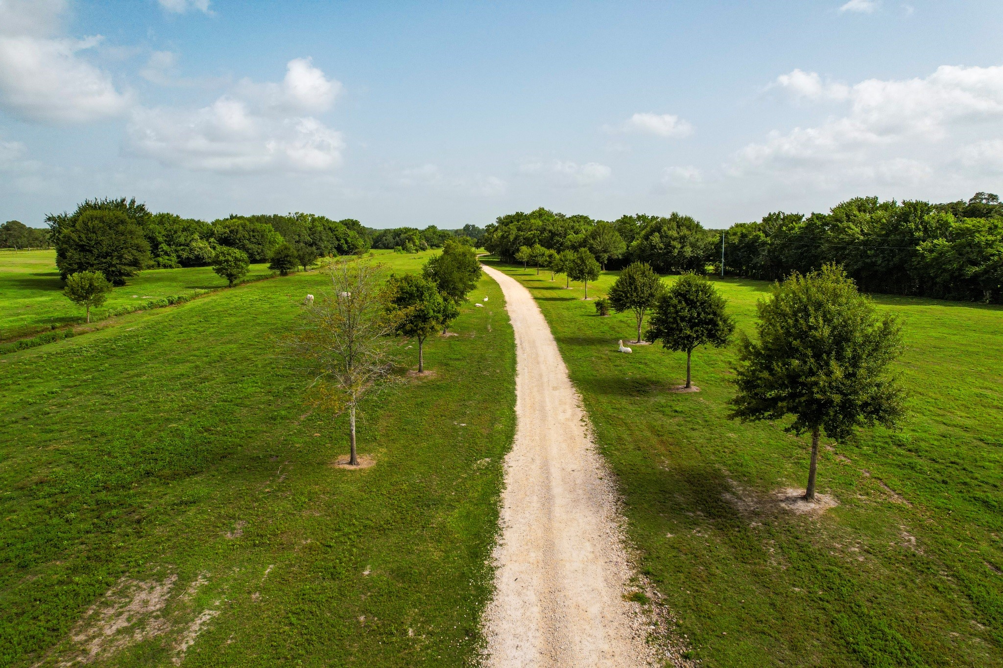 1331 E Parker Road Property Photo 24