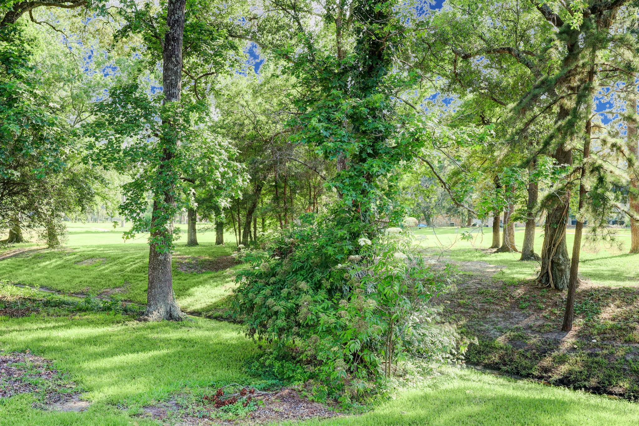 20019 Legend Oak Drive Property Photo 26