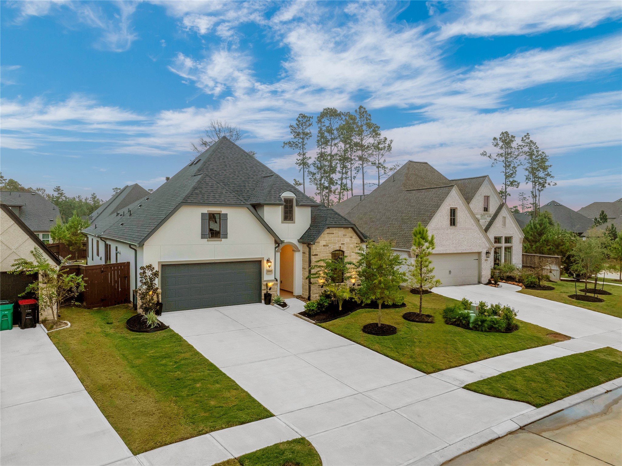 13067 Soaring Forest Drive Property Photo 41