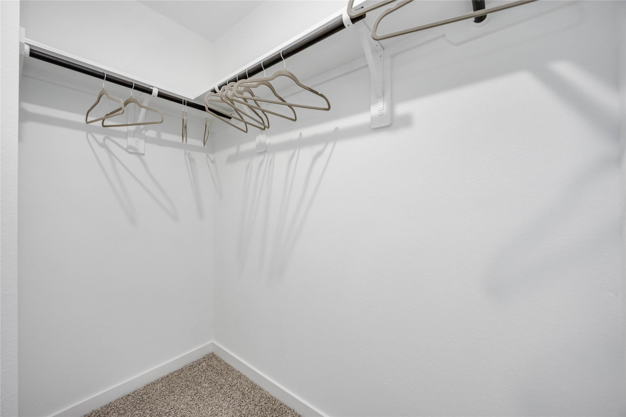 5830 Mansfield Creek Lane Property Photo 12