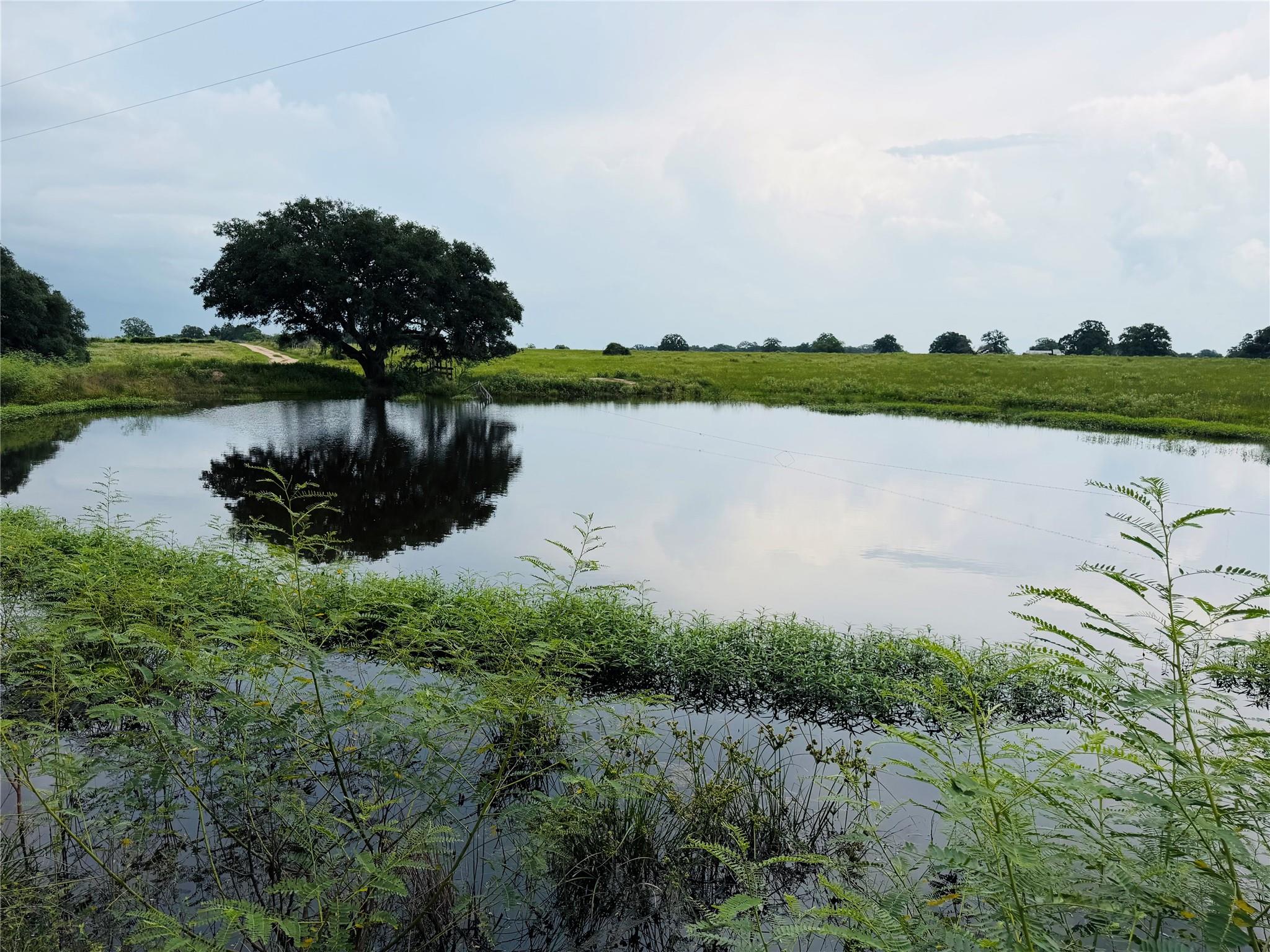 10309 Cr 1, Hallettsville Tx 77964 Property Photo 1