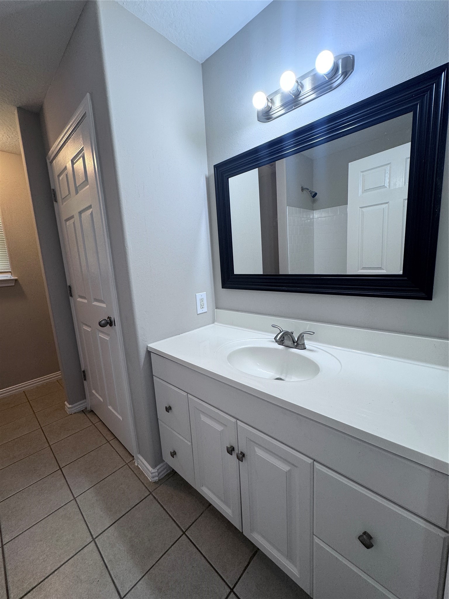 12551 Royal Lake Drive Property Photo 5