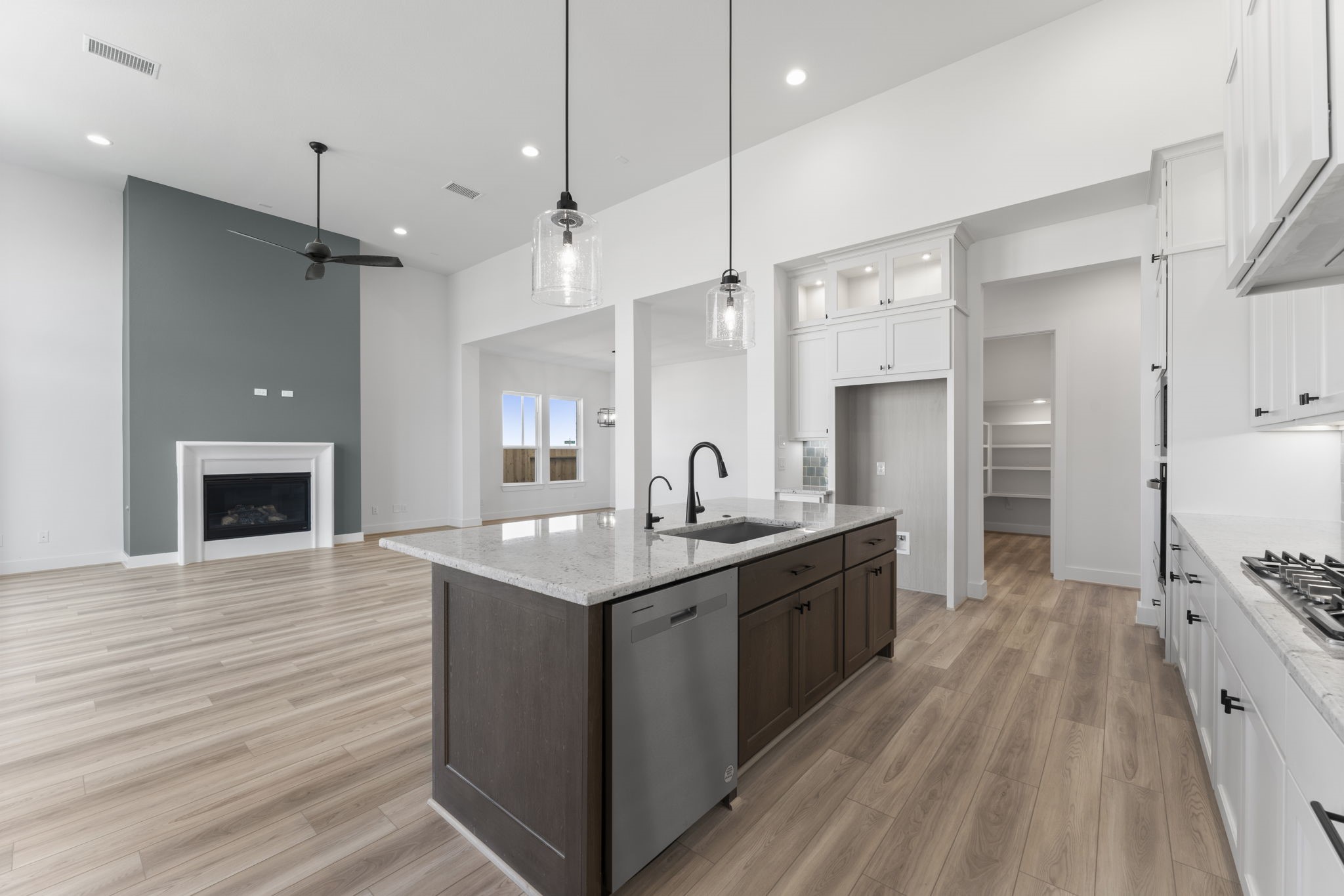 16251 Summer Aster Trail Property Photo 10