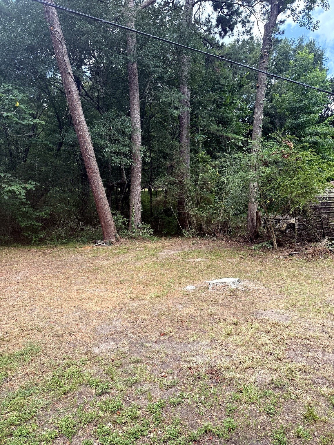 1314 Old Phelps Road Property Photo 2