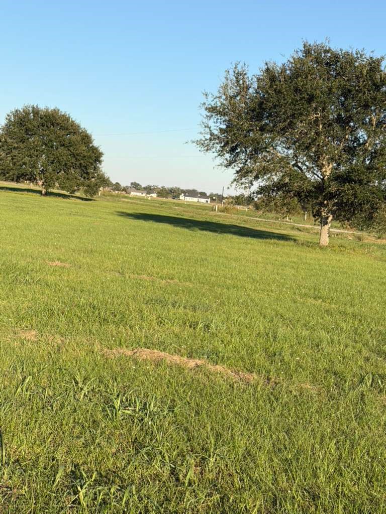 16318 Deerhaven Run Property Photo 1