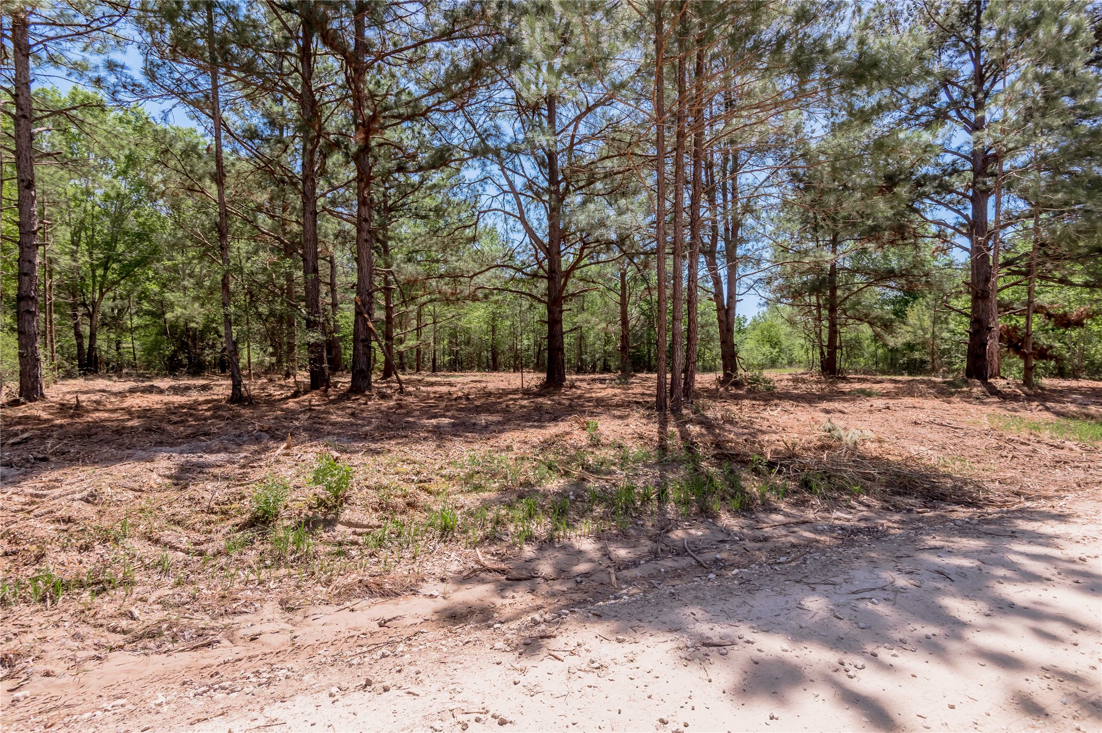 6077 000 Cr 4200 Property Photo 4