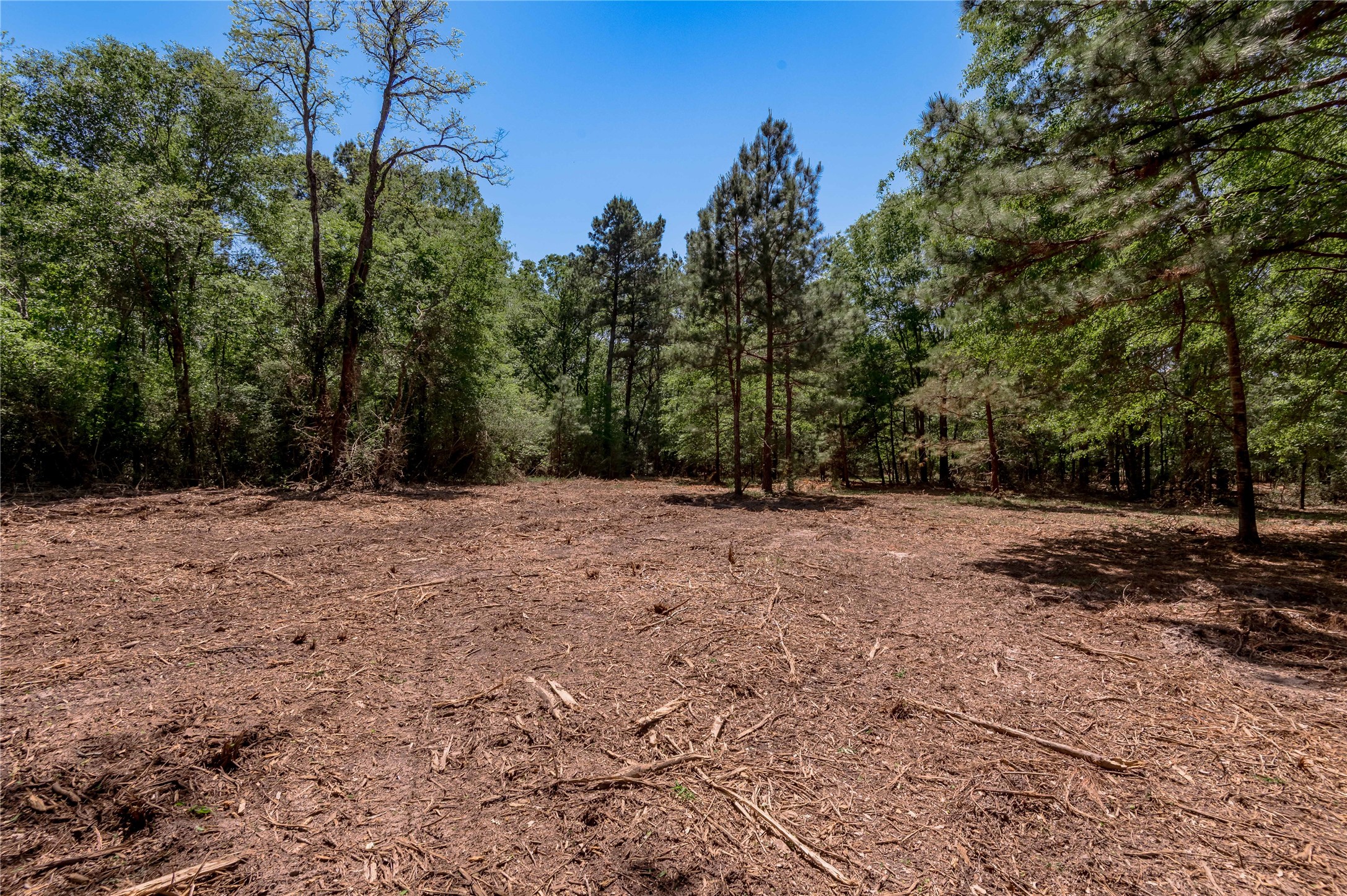 6077 000 Cr 4200 Property Photo 6