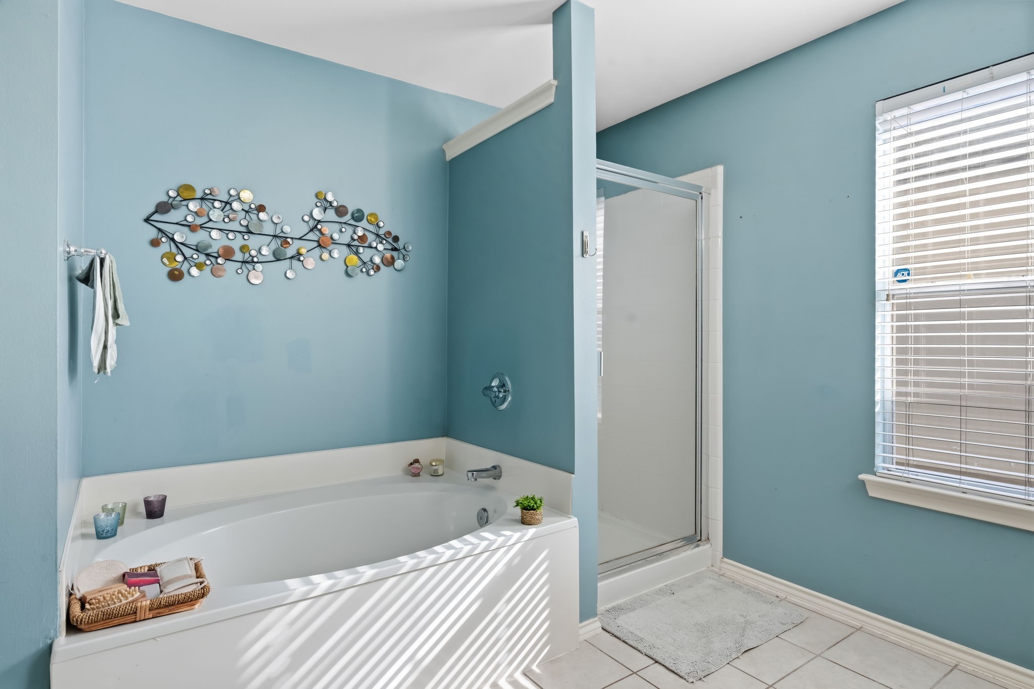 12819 Blanca Springs Way Property Photo 14