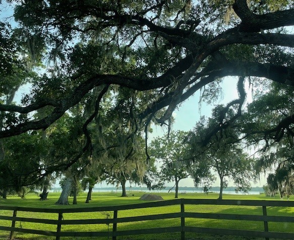 178 Horse Shoe Trail Property Photo 4