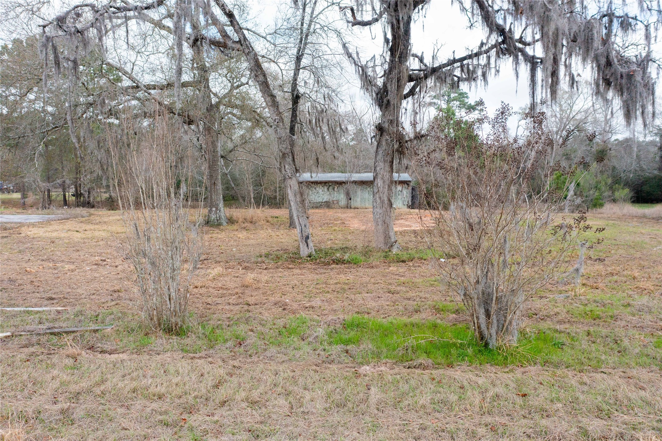 25642 Deer Trail Property Photo 9