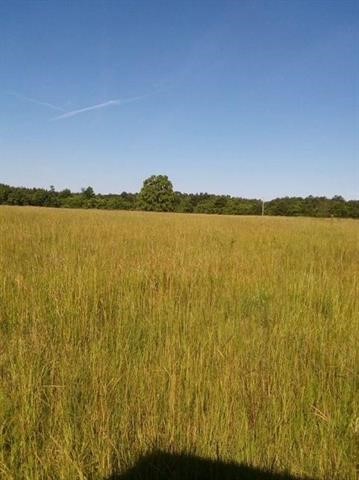 160 County Road 4472 Property Photo 3