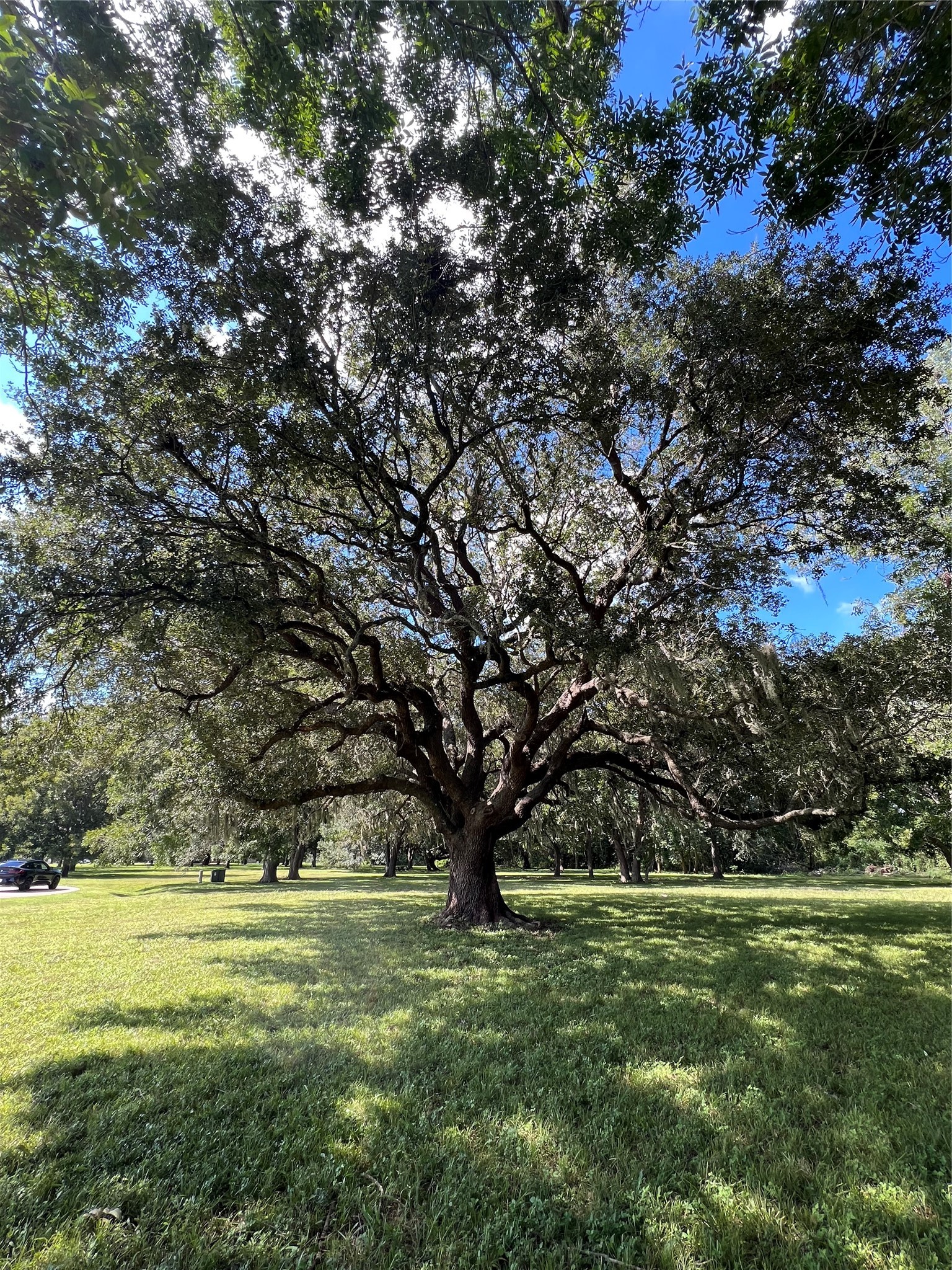 606 Oyster Shell Court Property Photo 13