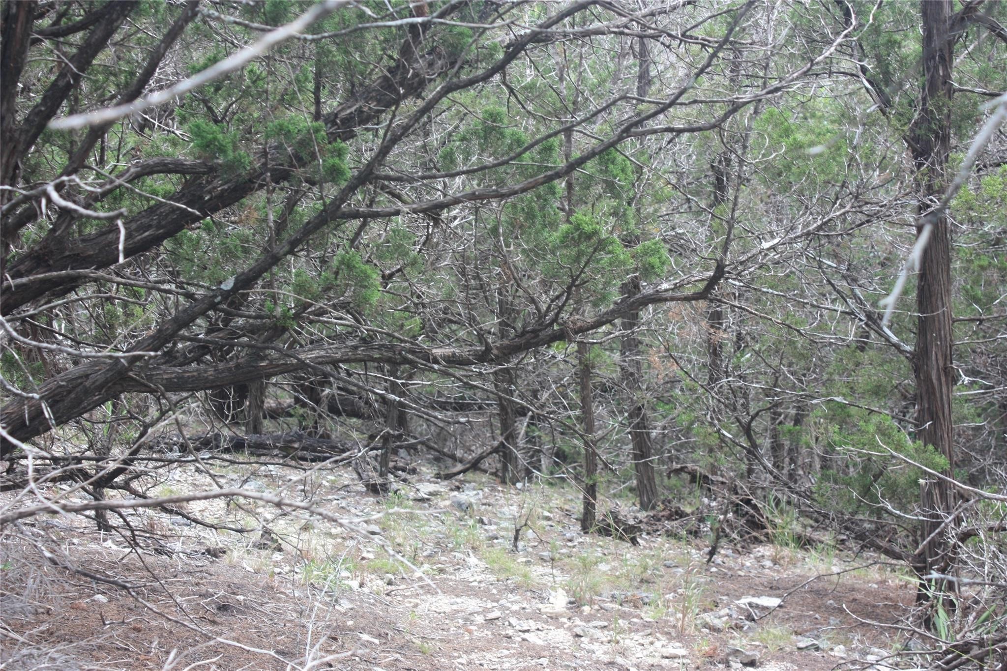 306 W Headwaters Ranch Road Property Photo 8