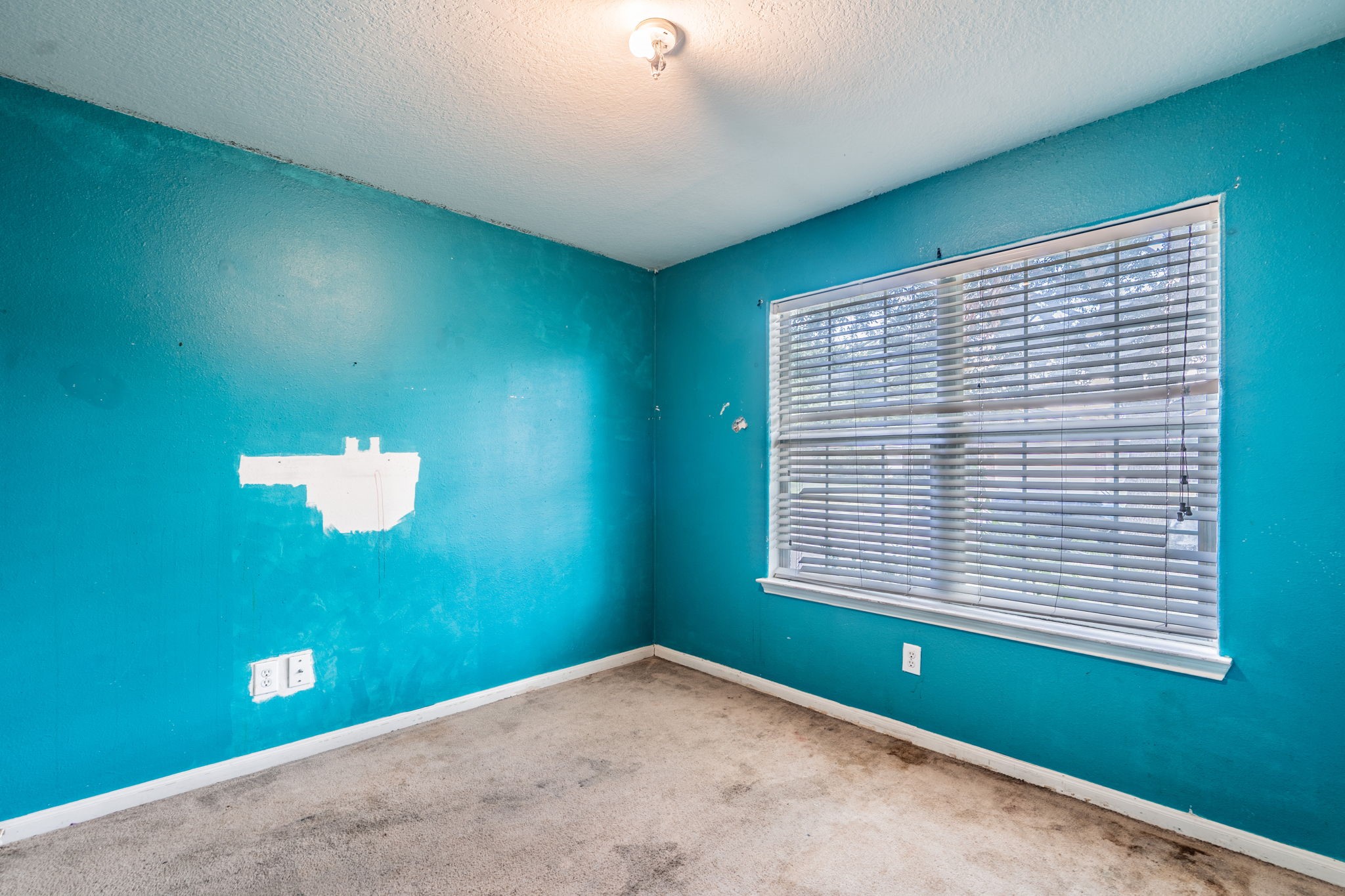 7122 Timber Moss Lane Property Photo 19
