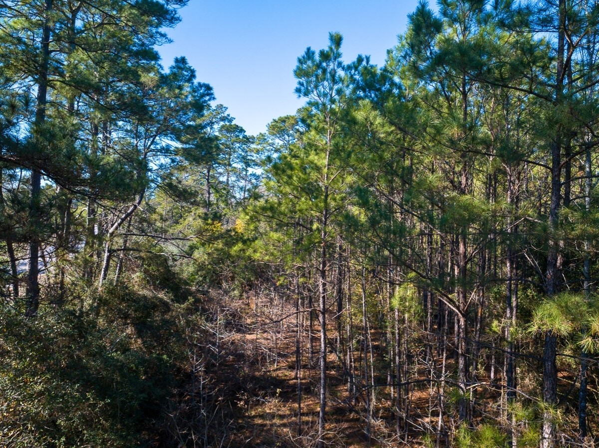 1 Fm 1725 Property Photo 6