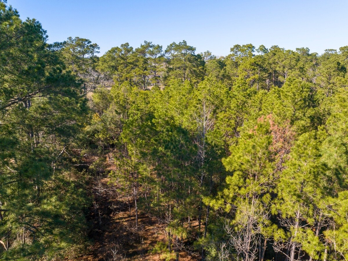 1 Fm 1725 Property Photo 8