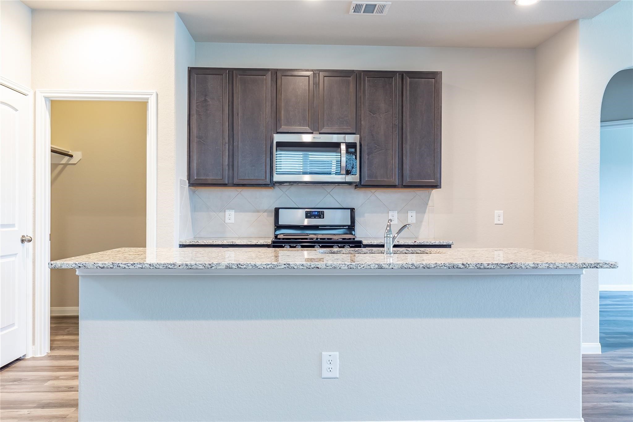 24630 Bastiani Canvas Lane Property Photo 9