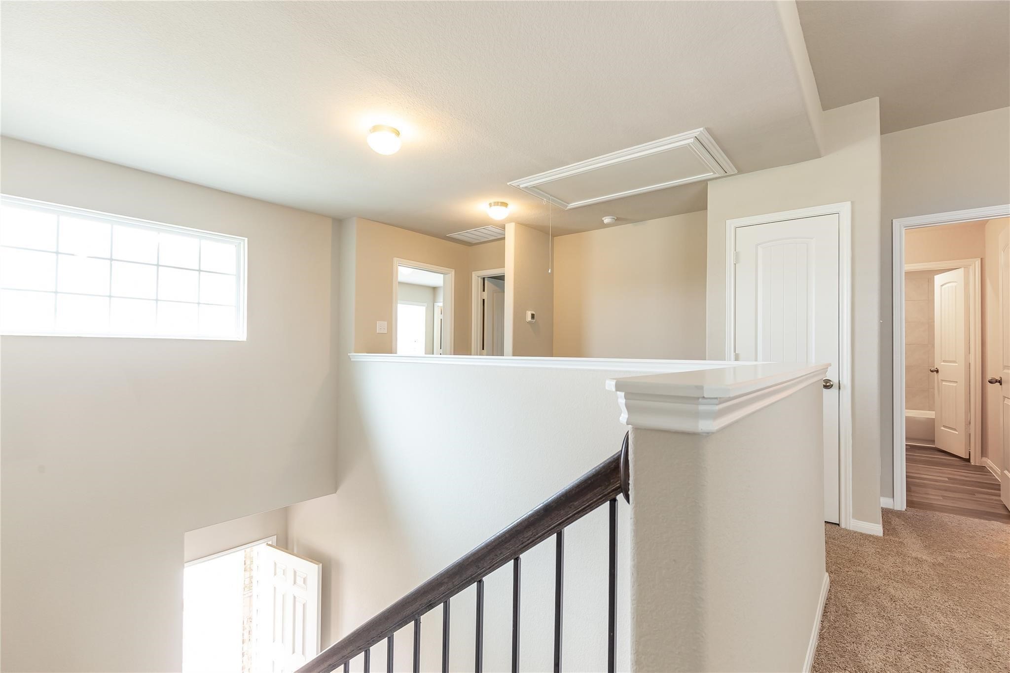 24630 Bastiani Canvas Lane Property Photo 14