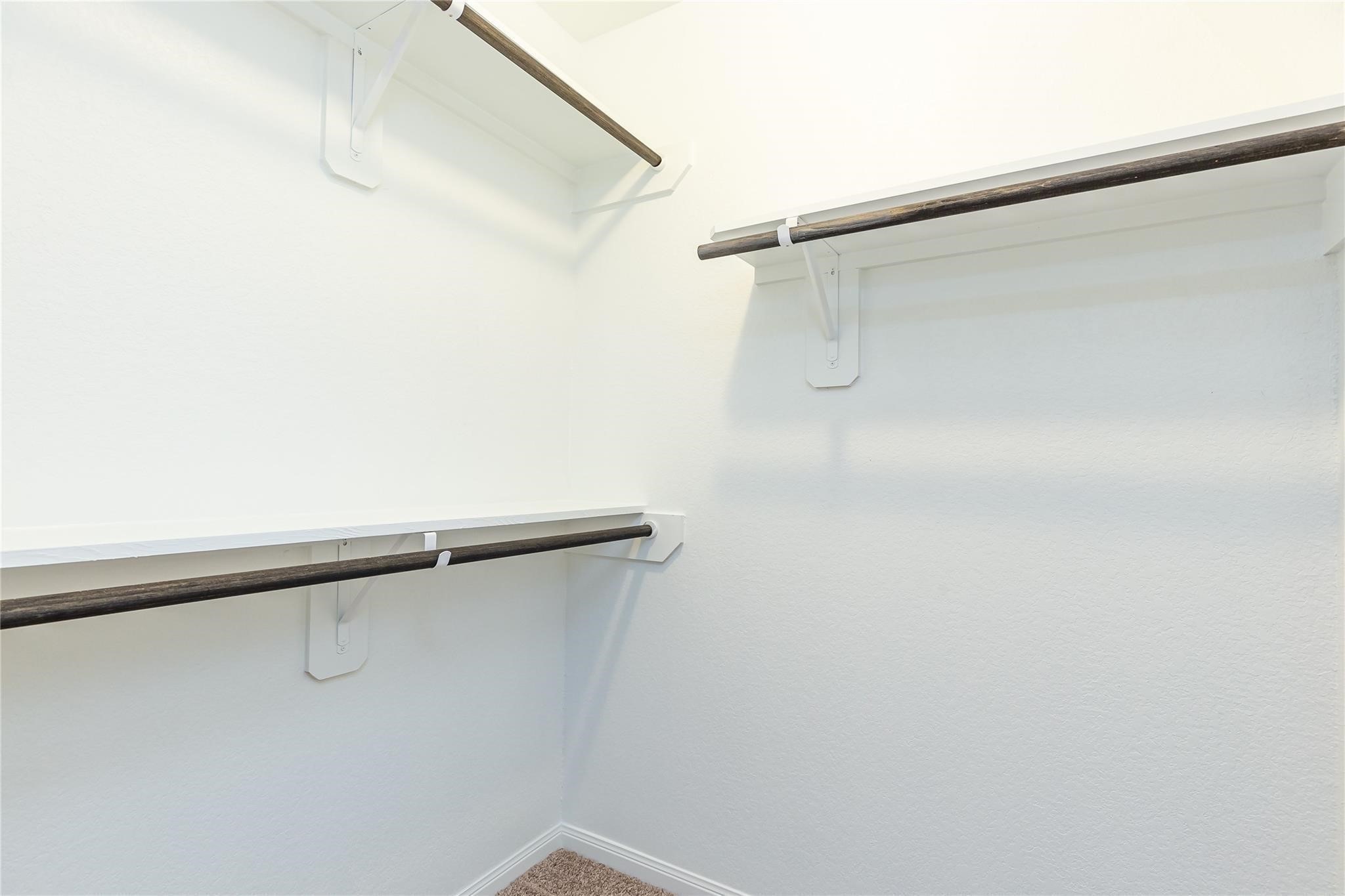 24630 Bastiani Canvas Lane Property Photo 29